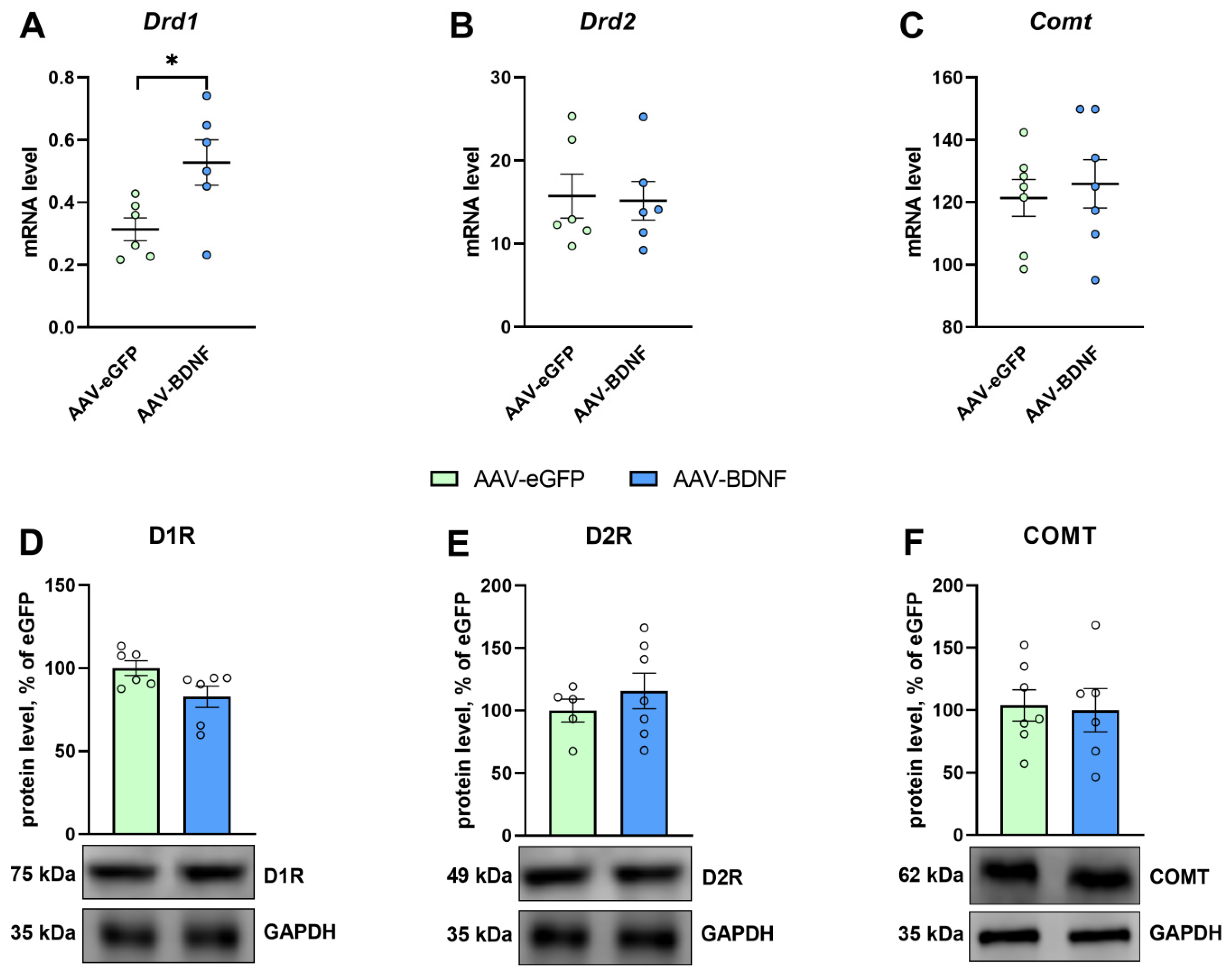 Biomedicines 11 01482 g009 Biomedicines 11 01482 g009