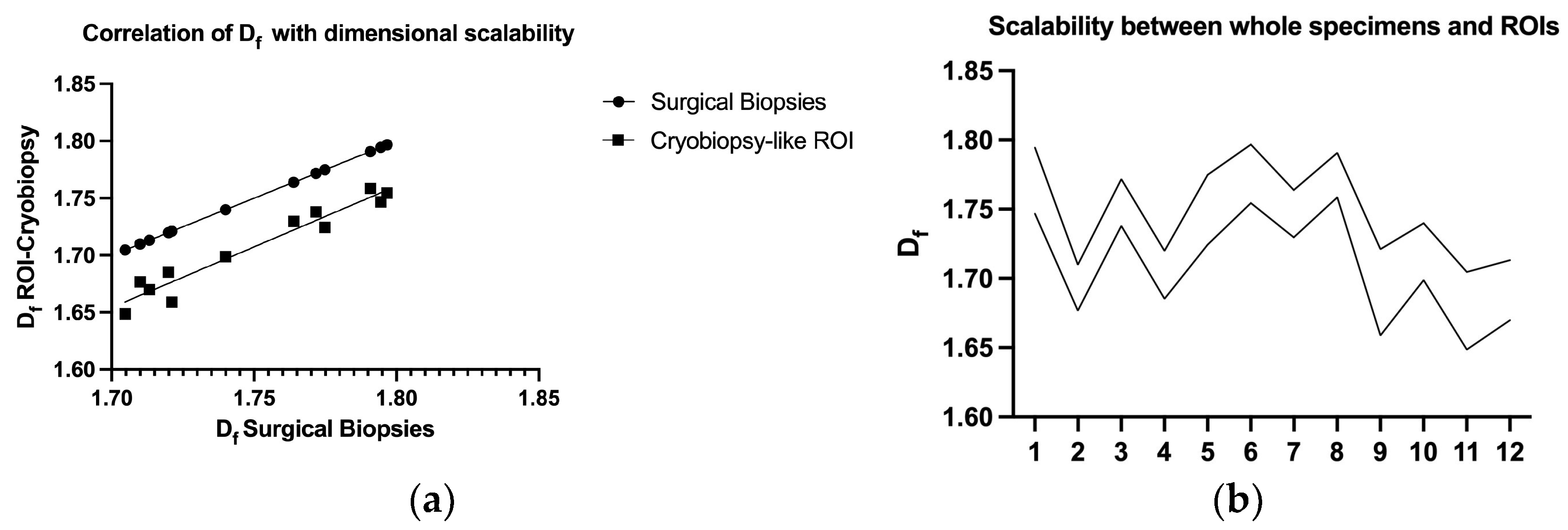 Biomedicines 11 01483 g005 Biomedicines 11 01483 g005