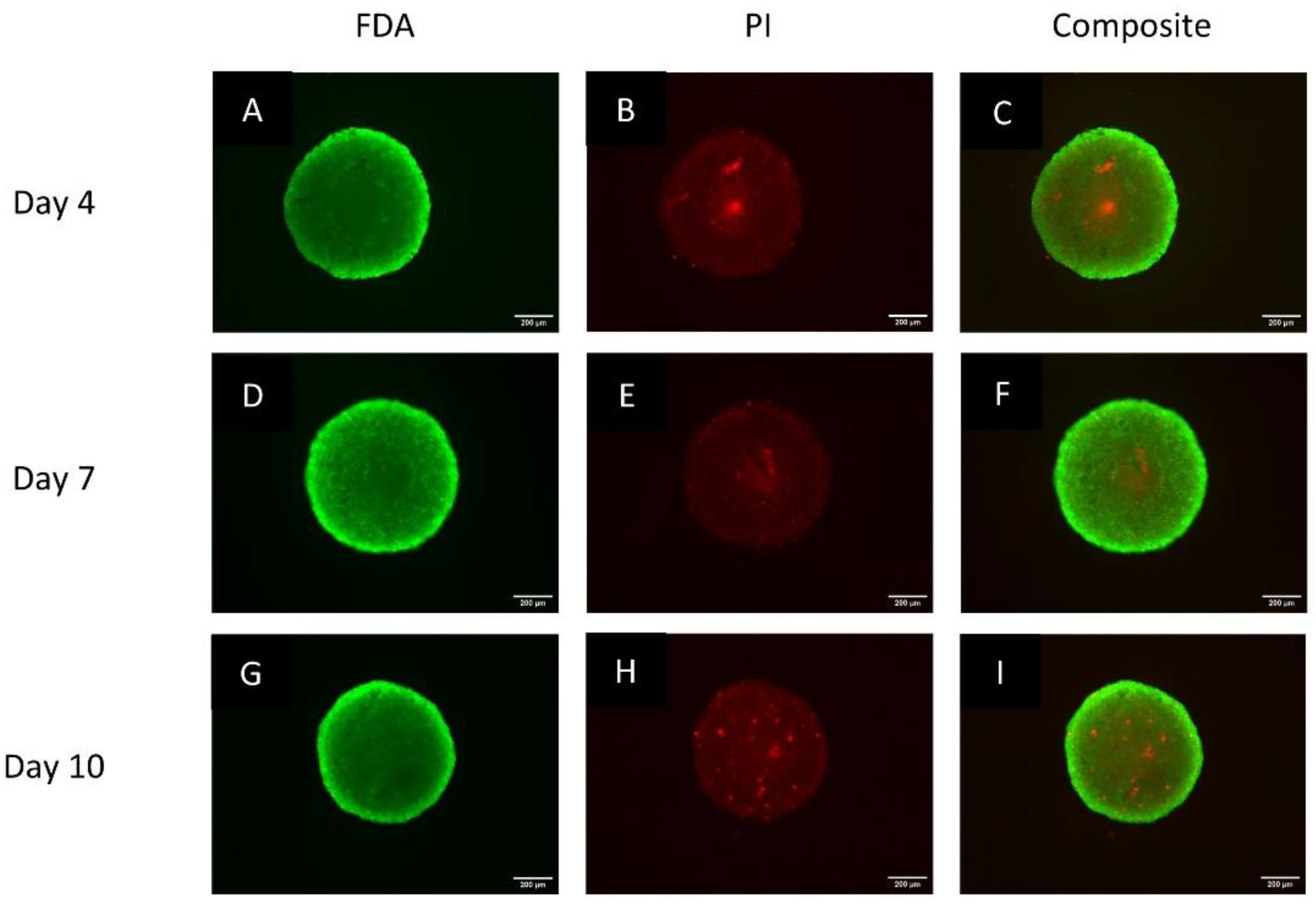 Biomedicines 11 01484 g002 Biomedicines 11 01484 g002