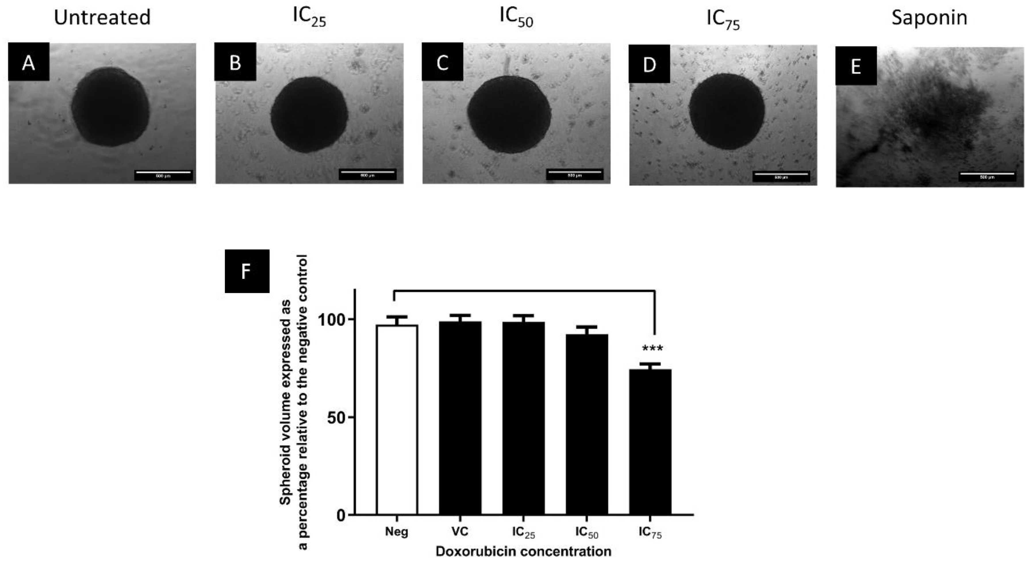 Biomedicines 11 01484 g007 Biomedicines 11 01484 g007