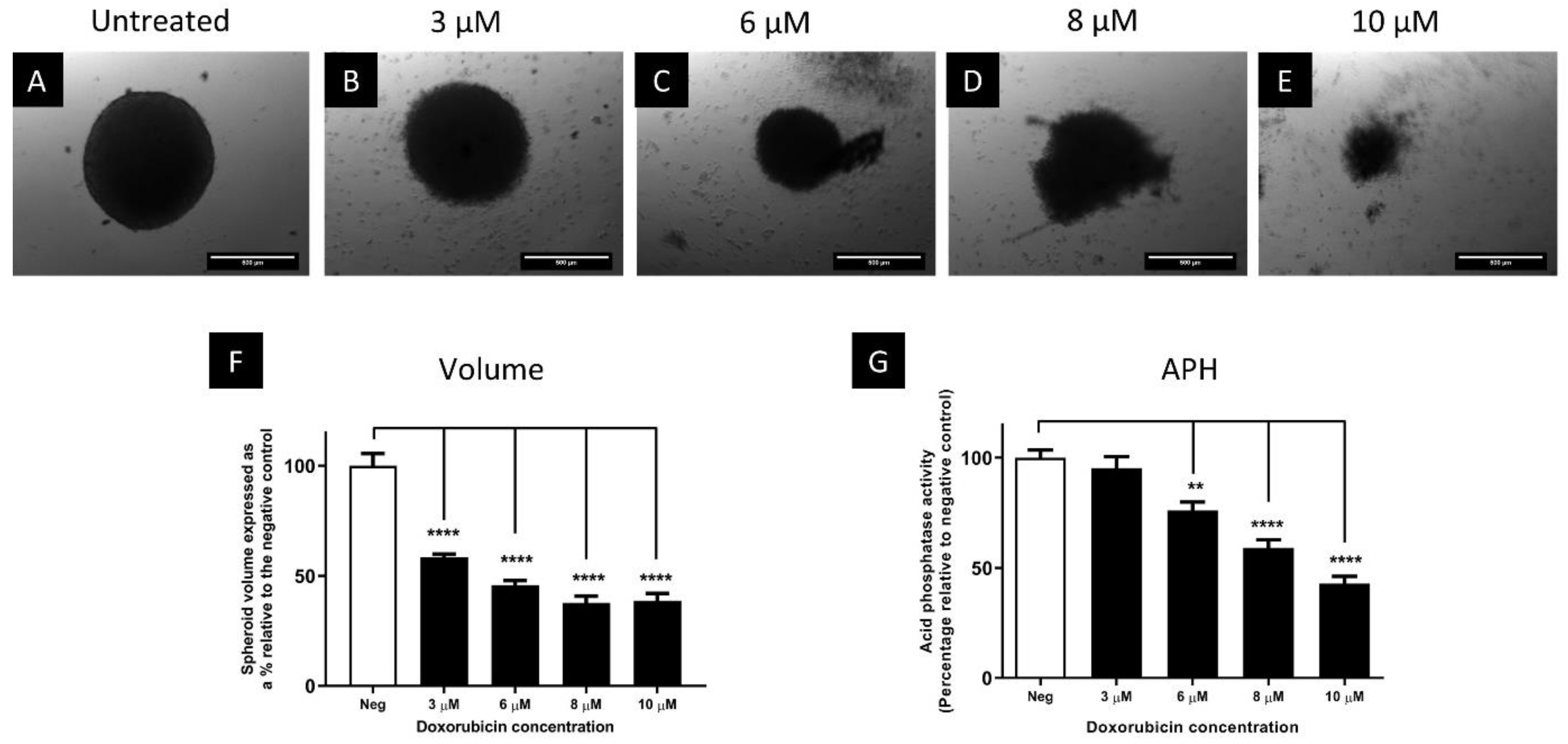 Biomedicines 11 01484 g008 Biomedicines 11 01484 g008