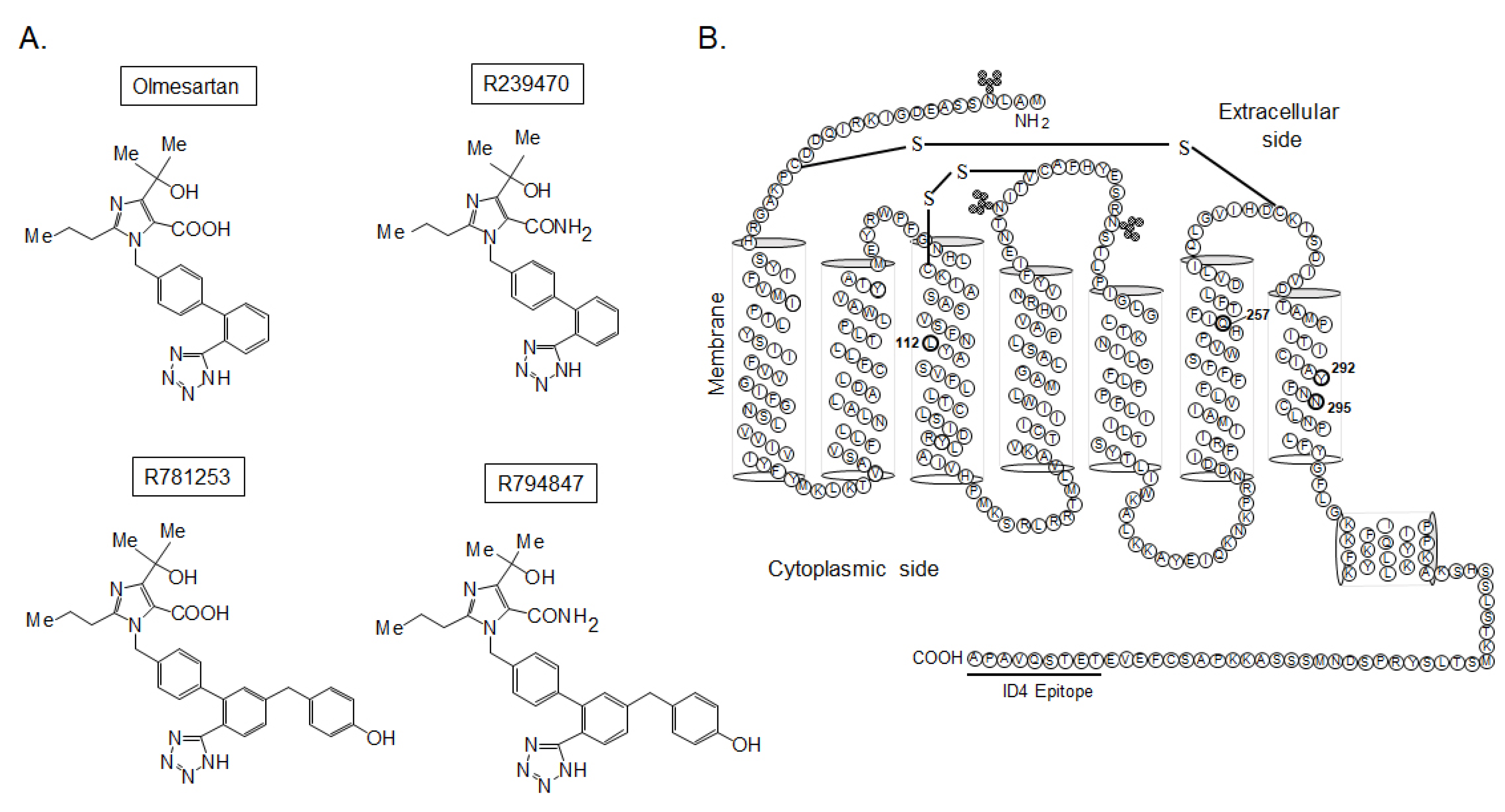 Biomedicines 11 01486 g001 Biomedicines 11 01486 g001