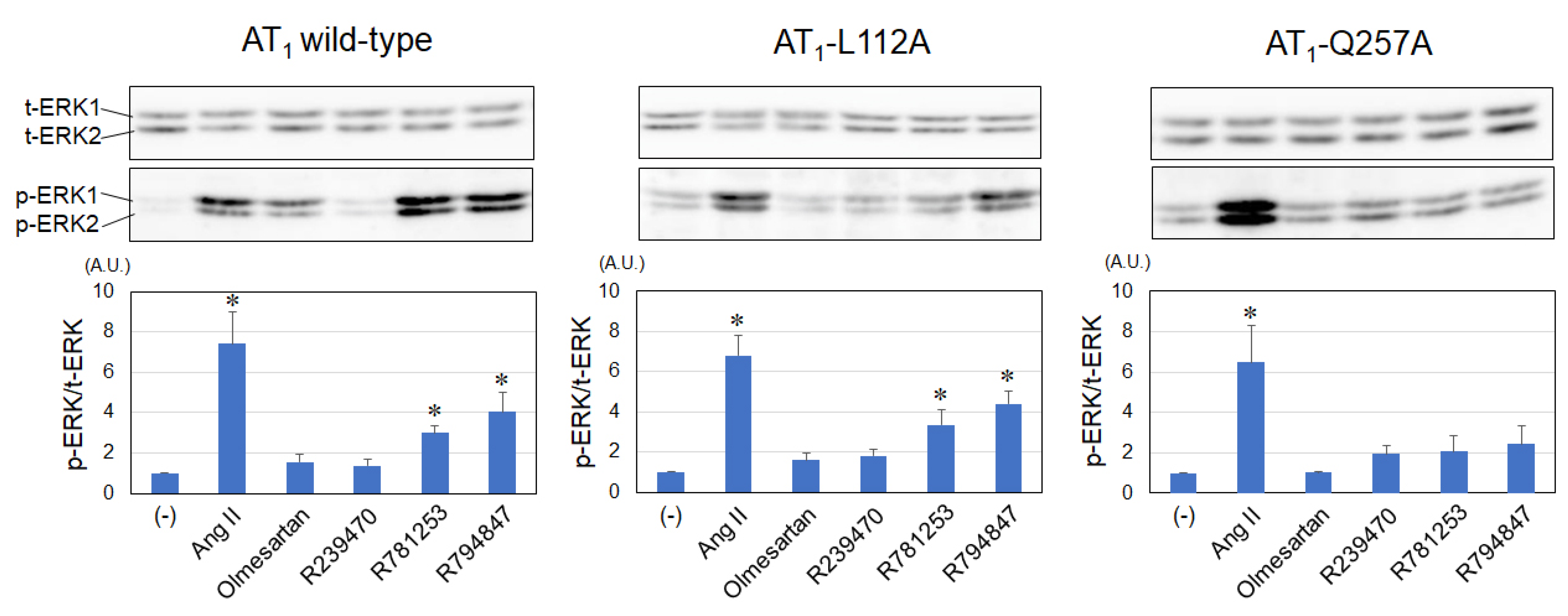 Biomedicines 11 01486 g003 Biomedicines 11 01486 g003