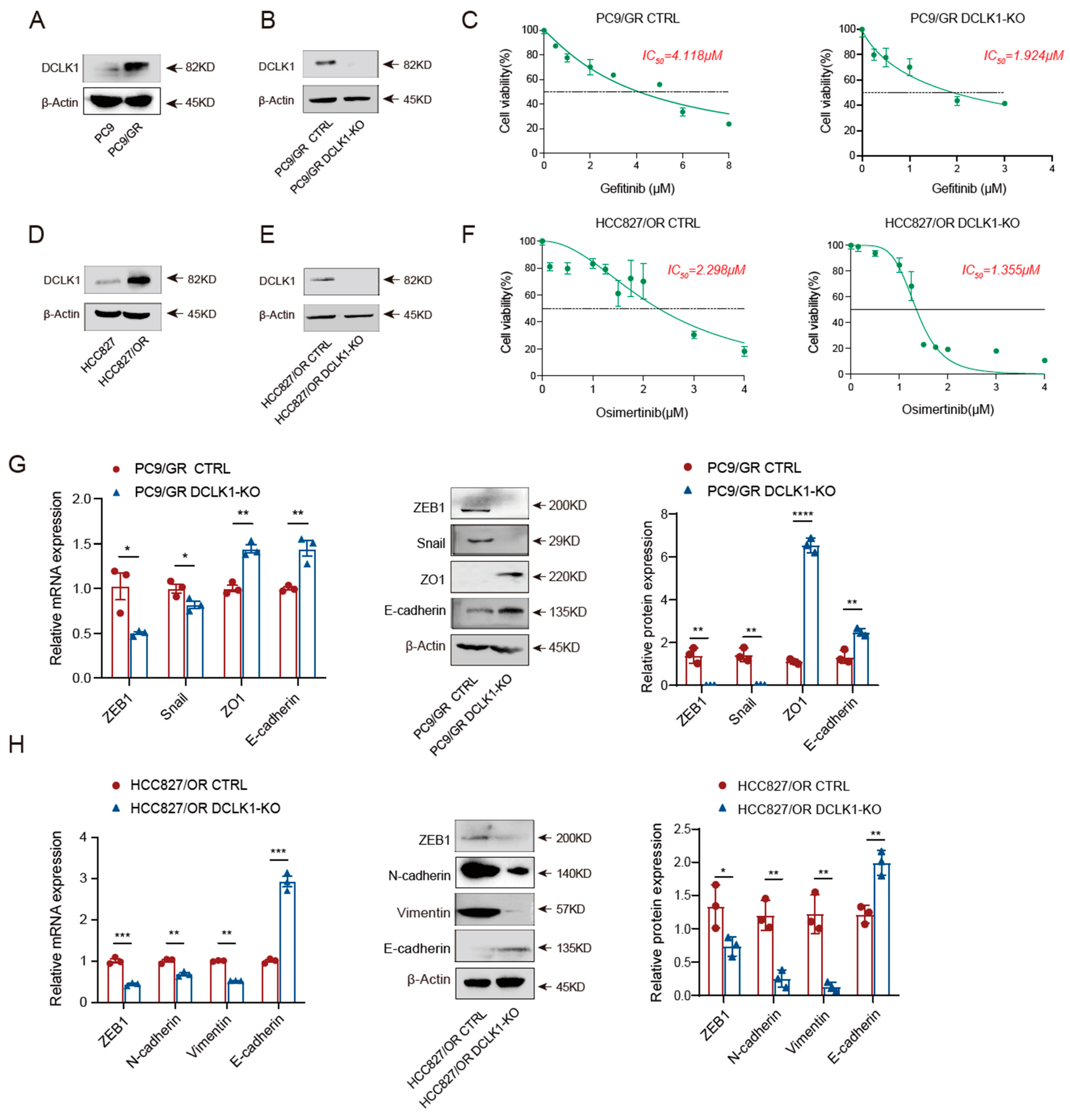 Biomedicines 11 01490 g002a Biomedicines 11 01490 g002a
