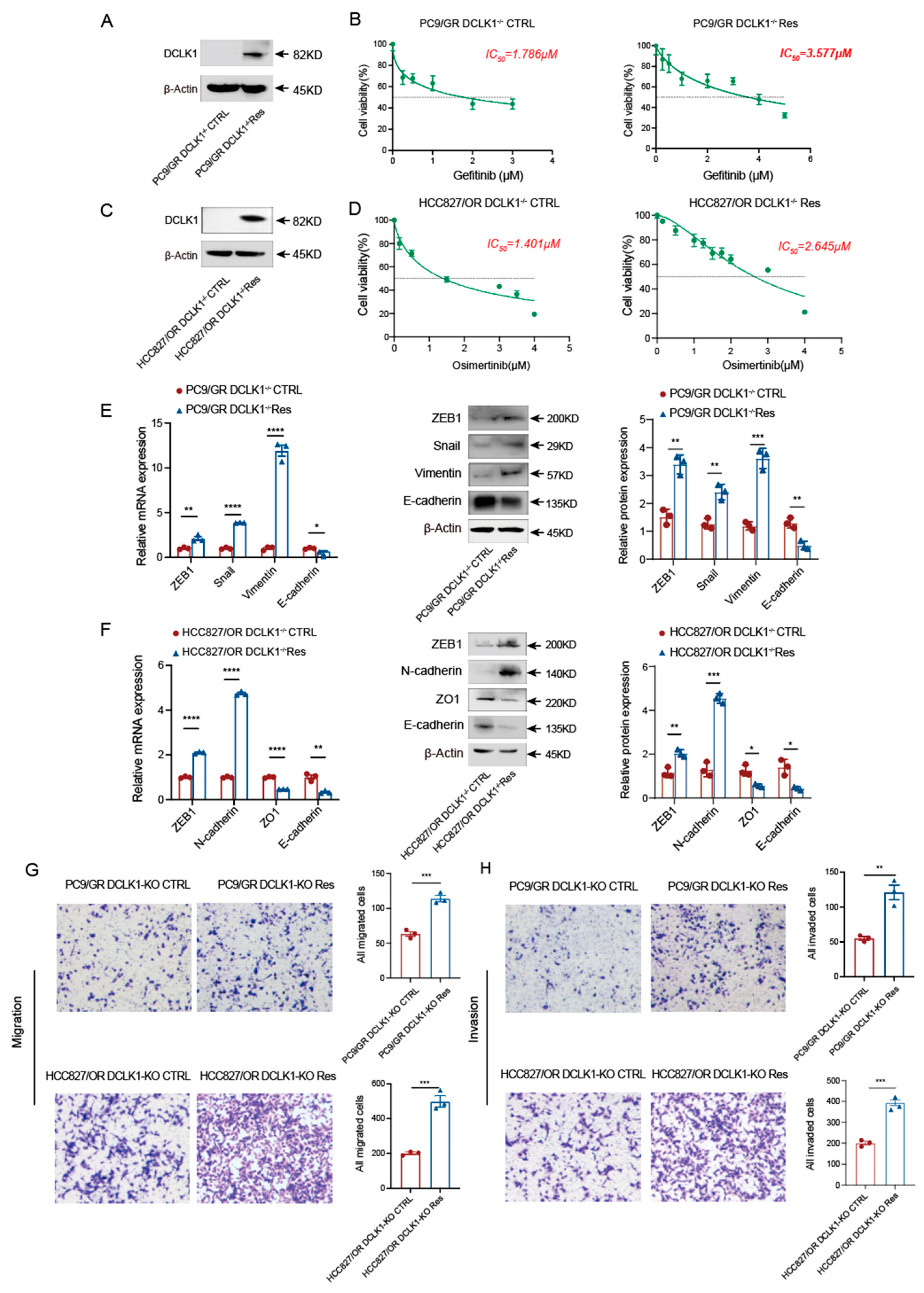 Biomedicines 11 01490 g003 Biomedicines 11 01490 g003