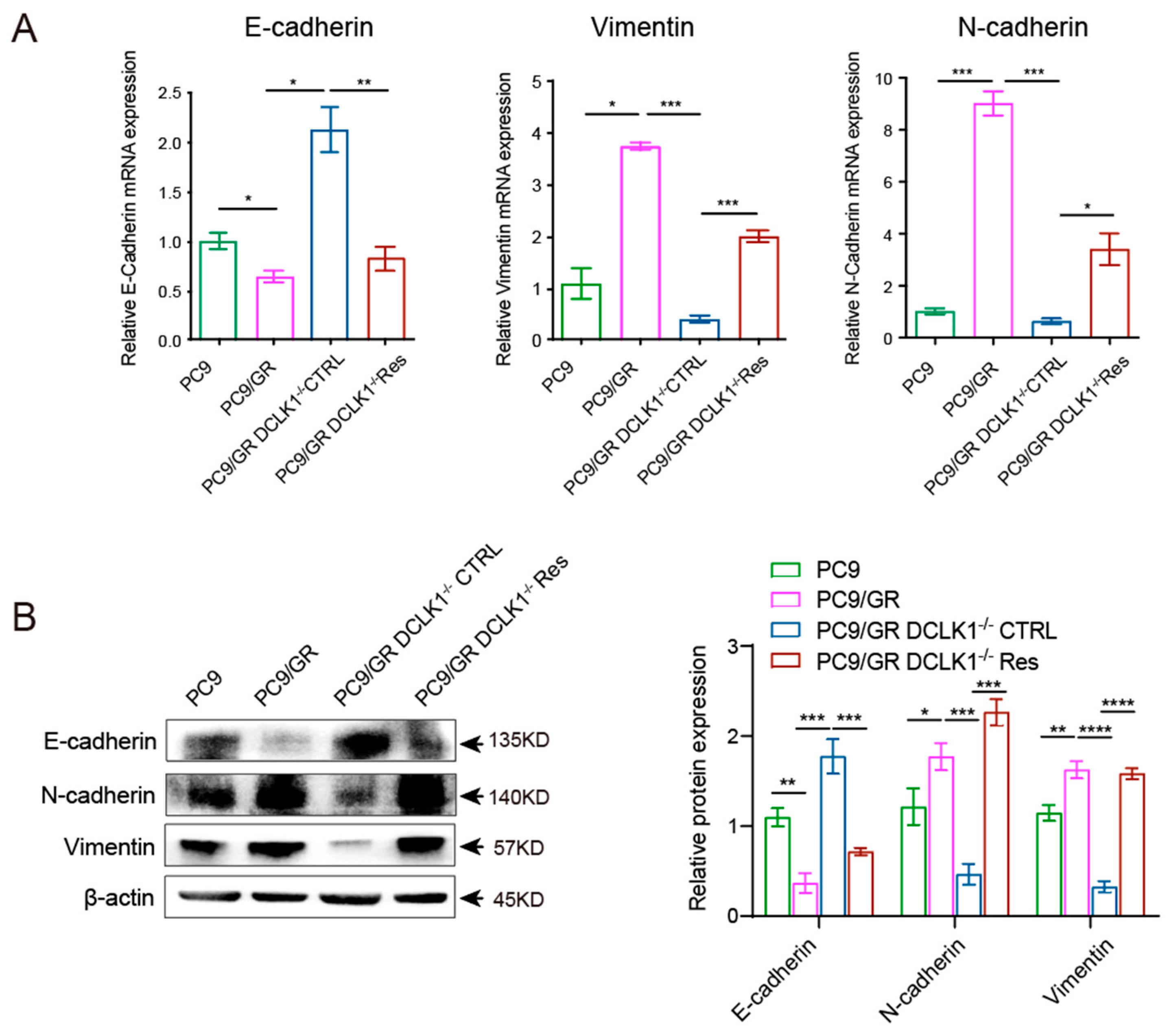 Biomedicines 11 01490 g004a Biomedicines 11 01490 g004a
