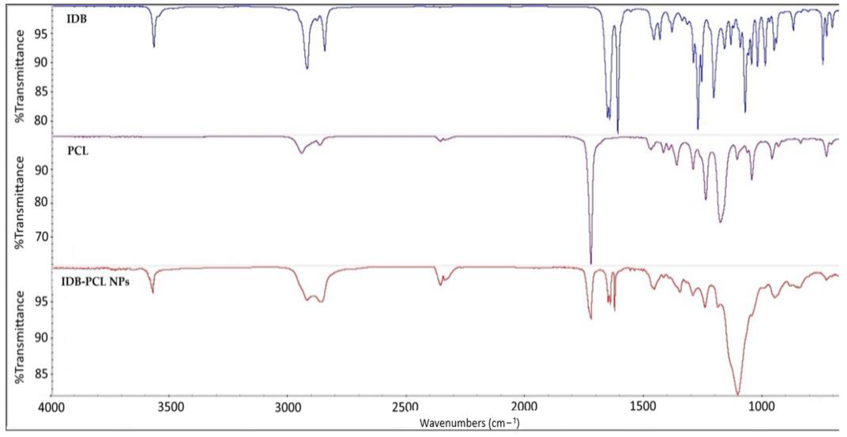 Biomedicines 11 01491 g004 Biomedicines 11 01491 g004