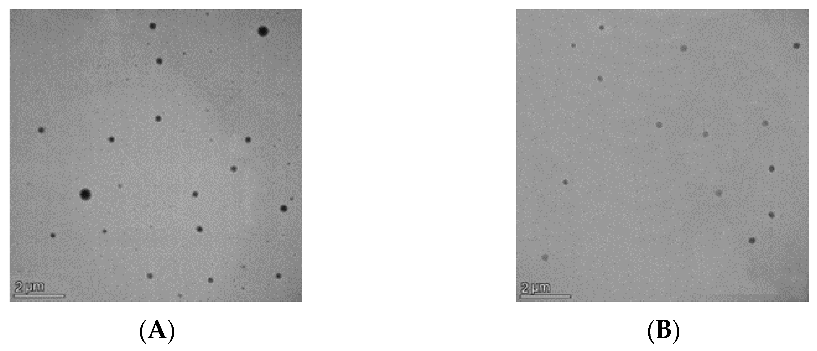 Biomedicines 11 01491 g006 Biomedicines 11 01491 g006