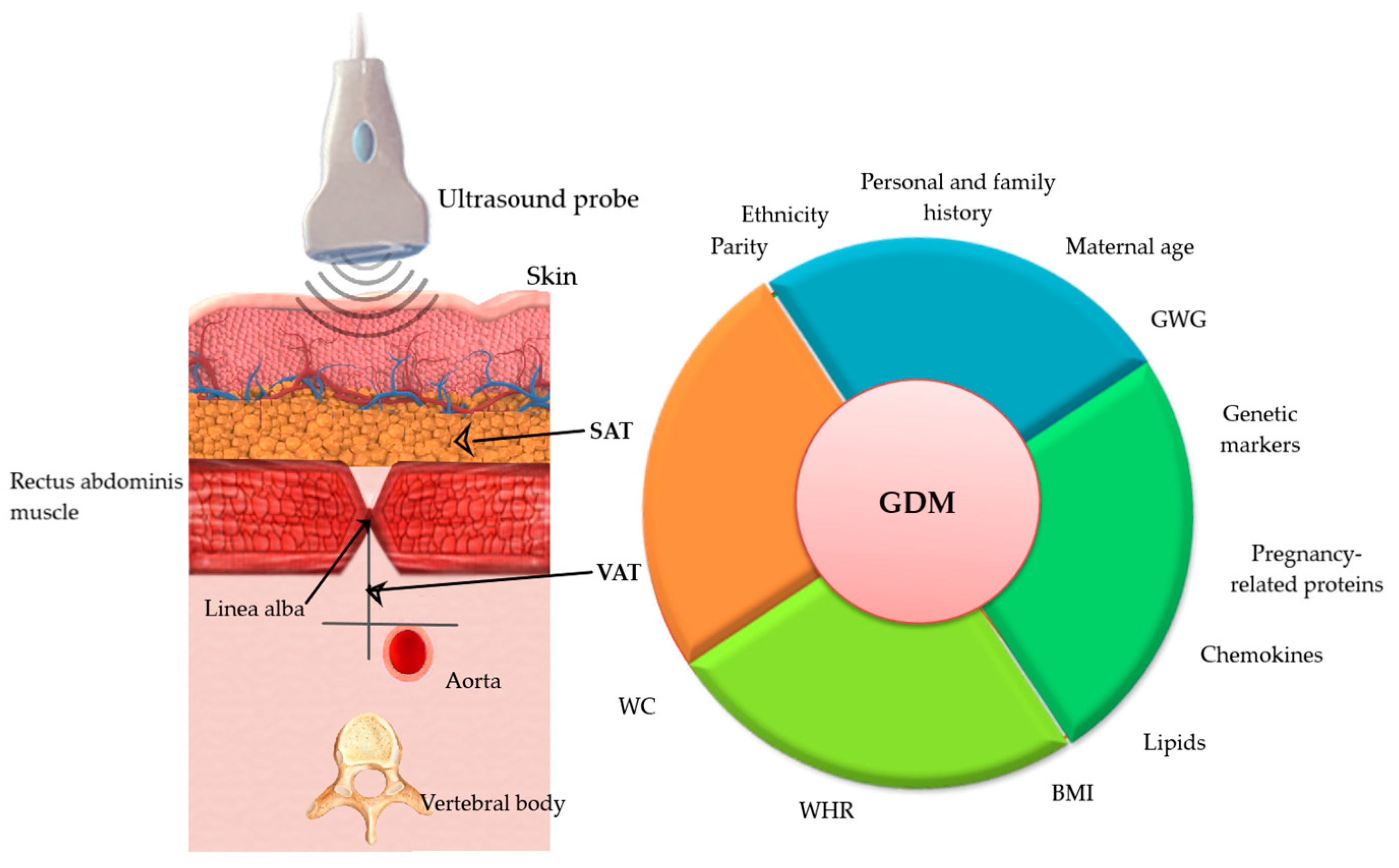 Biomedicines 11 01492 g002 Biomedicines 11 01492 g002