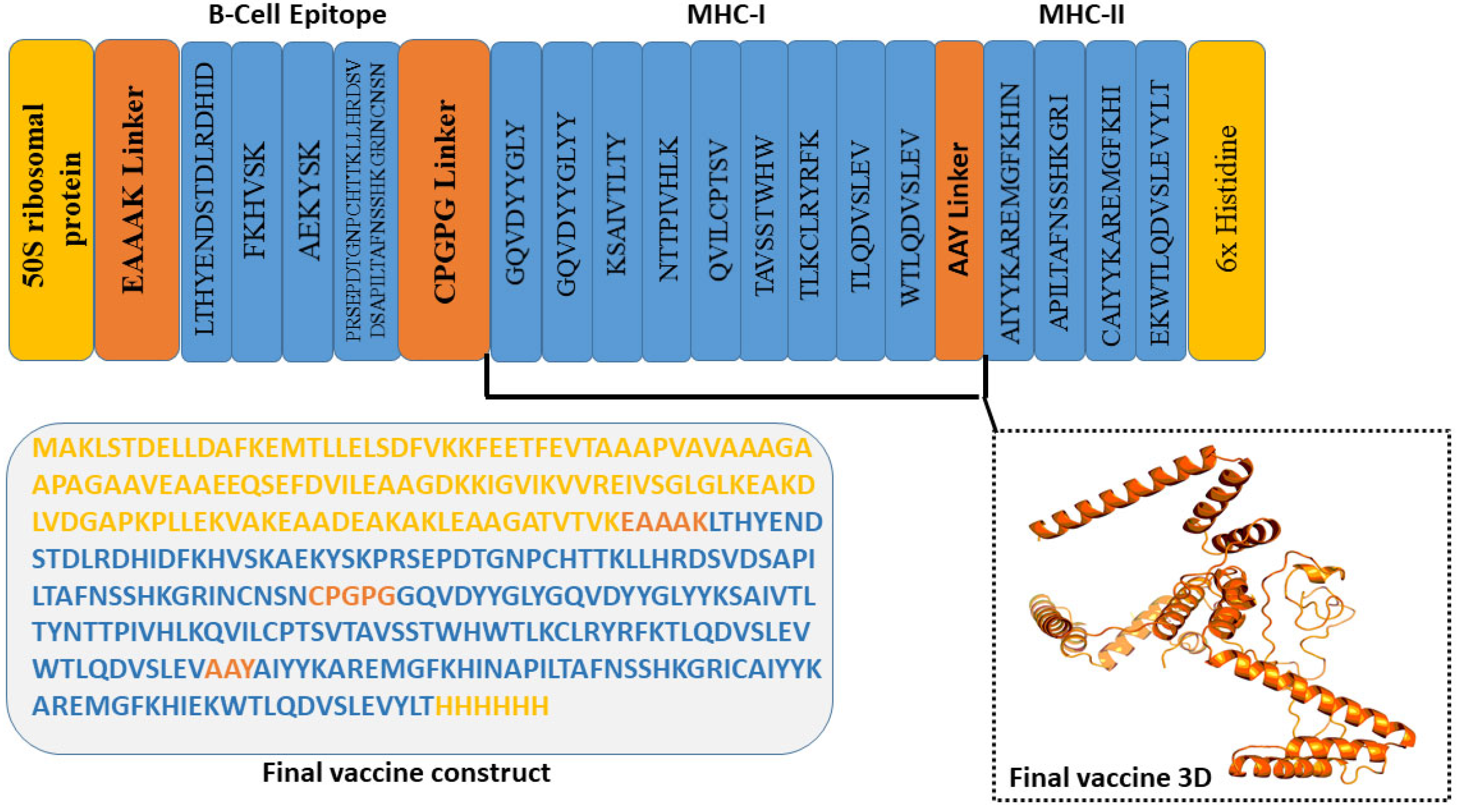 Biomedicines 11 01493 g004 Biomedicines 11 01493 g004