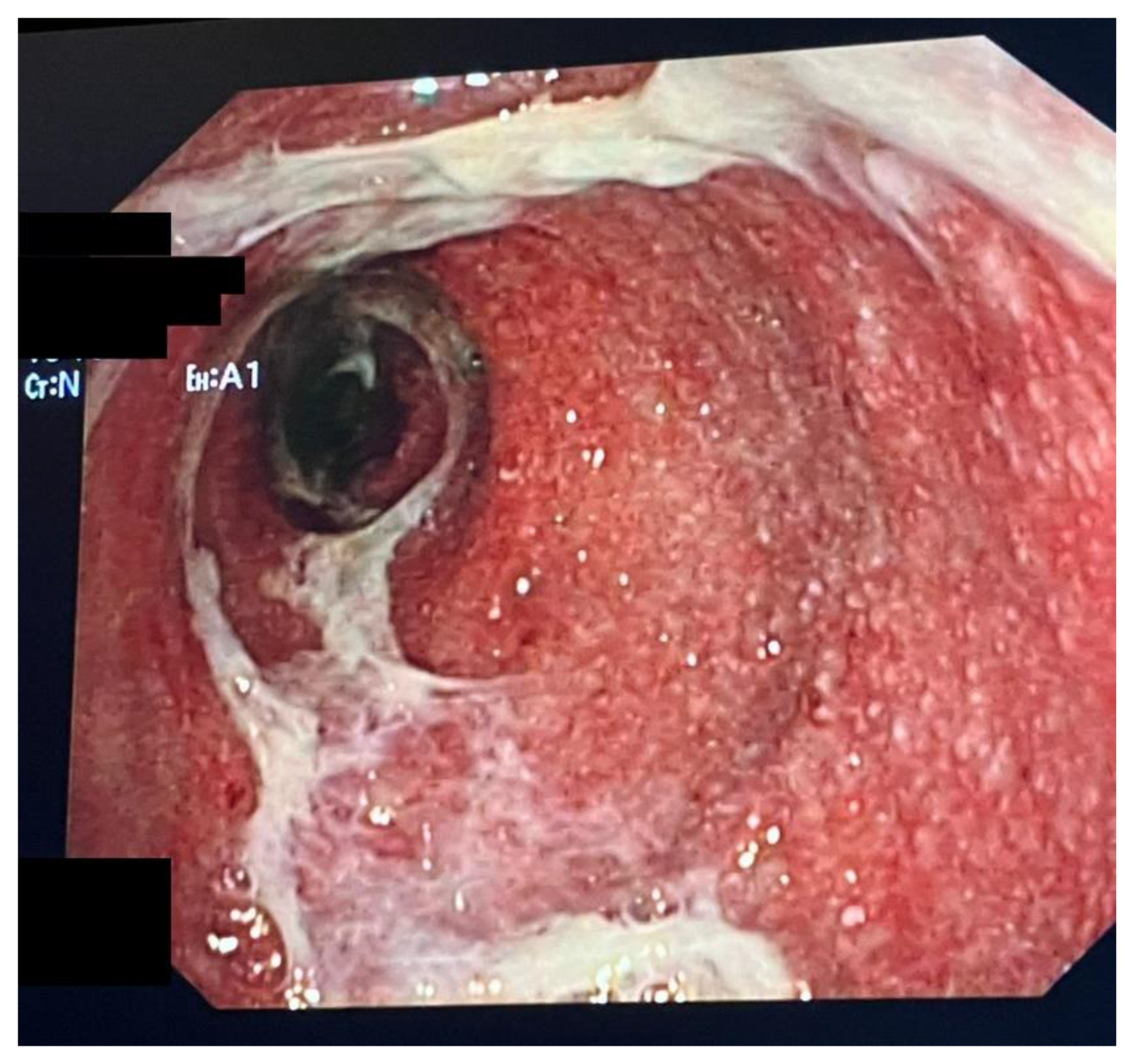 Biomedicines 11 01496 g001
