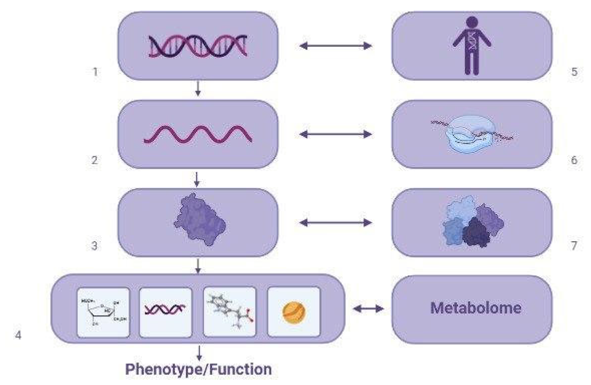 Biomedicines 11 01499 g003