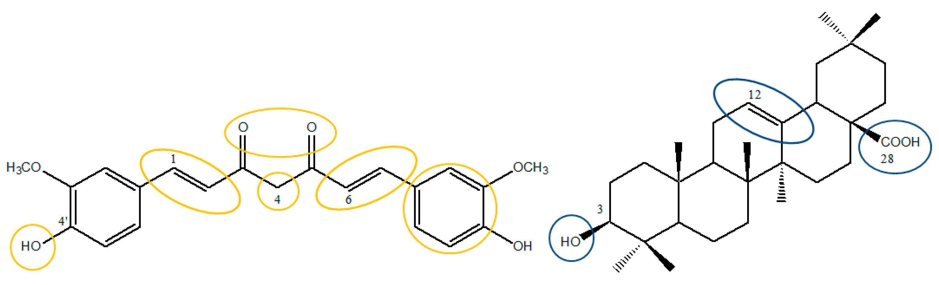 Biomedicines 11 01506 g001