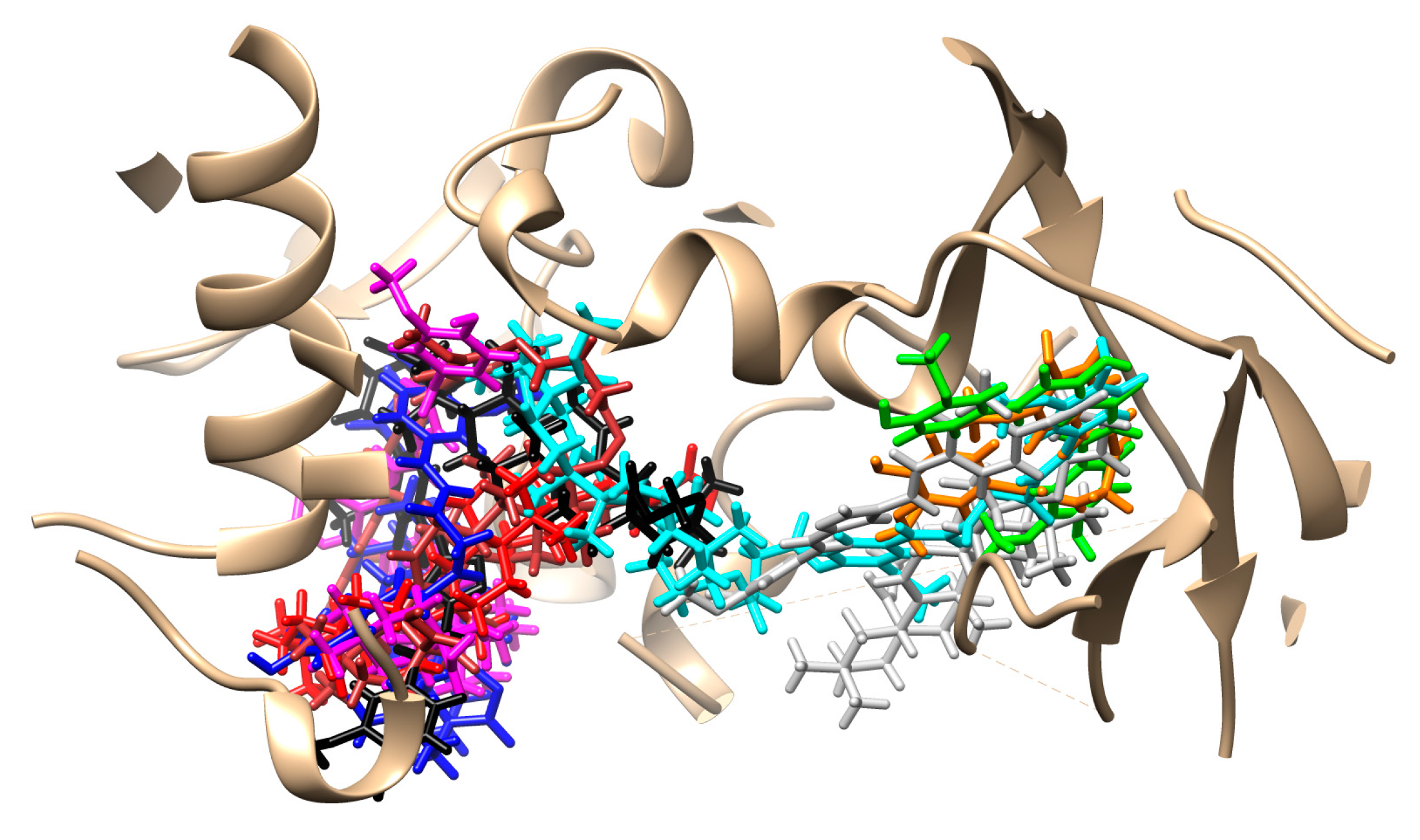 Biomedicines 11 01506 g010