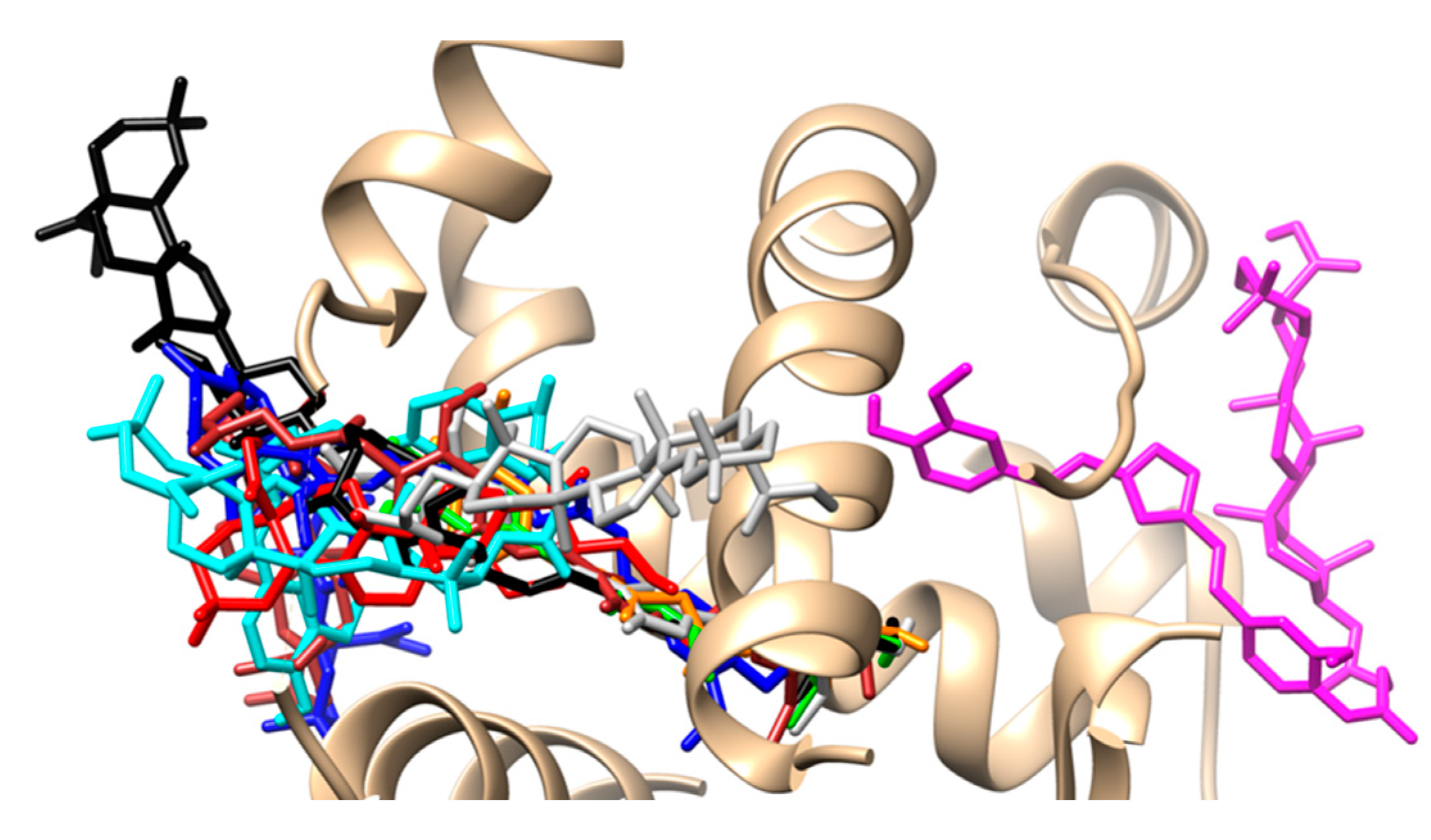 Biomedicines 11 01506 g012