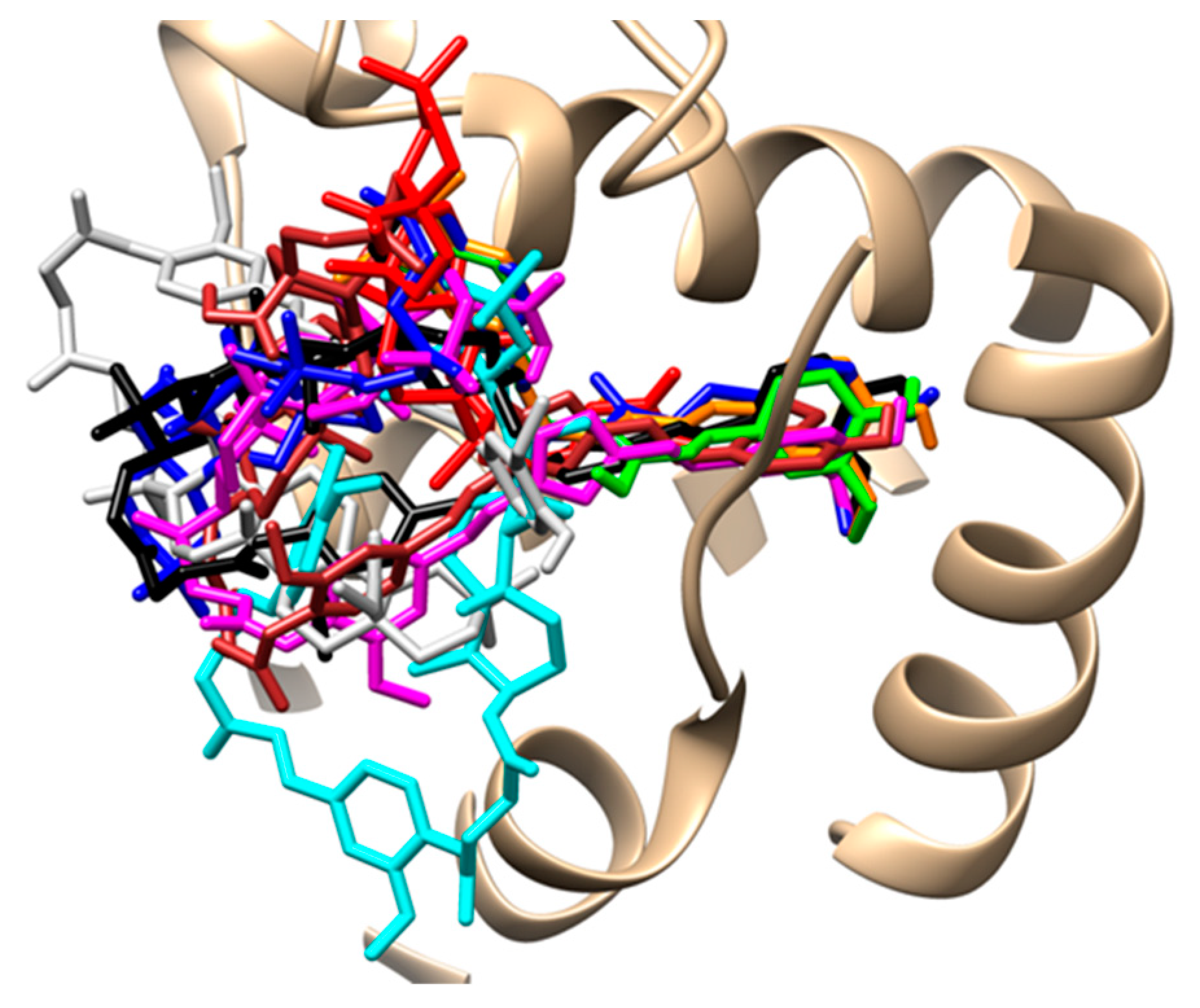 Biomedicines 11 01506 g013