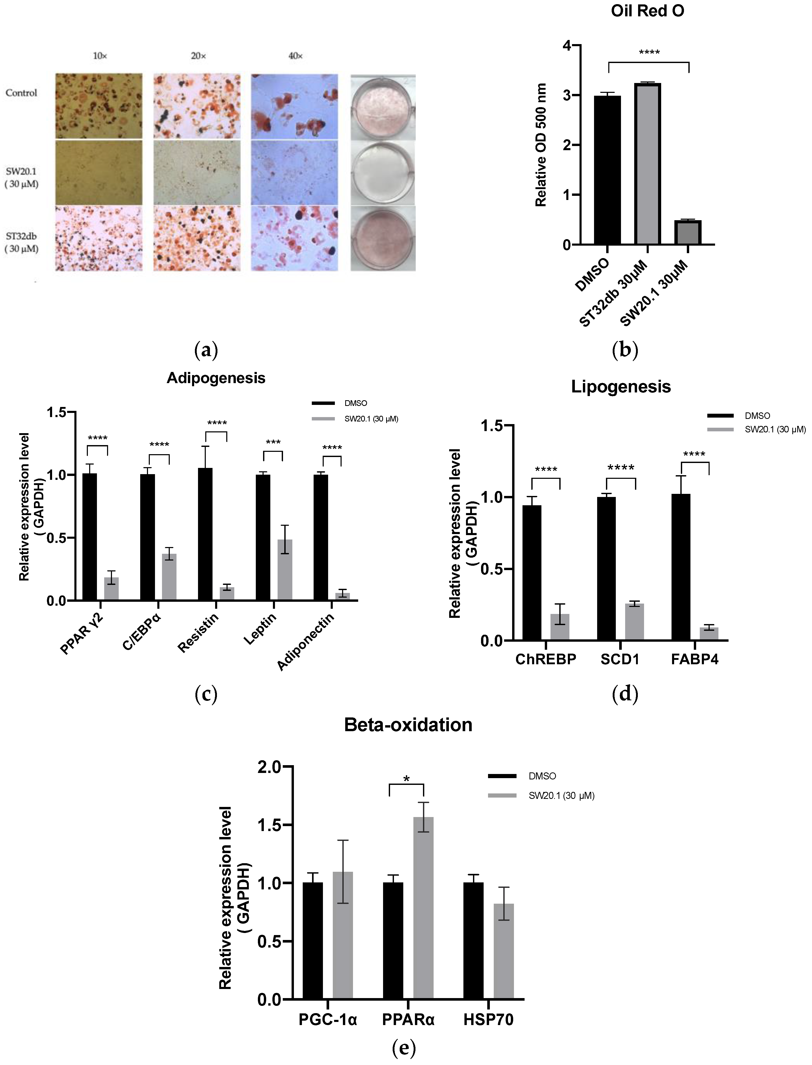 Biomedicines 11 01509 g002 Biomedicines 11 01509 g002