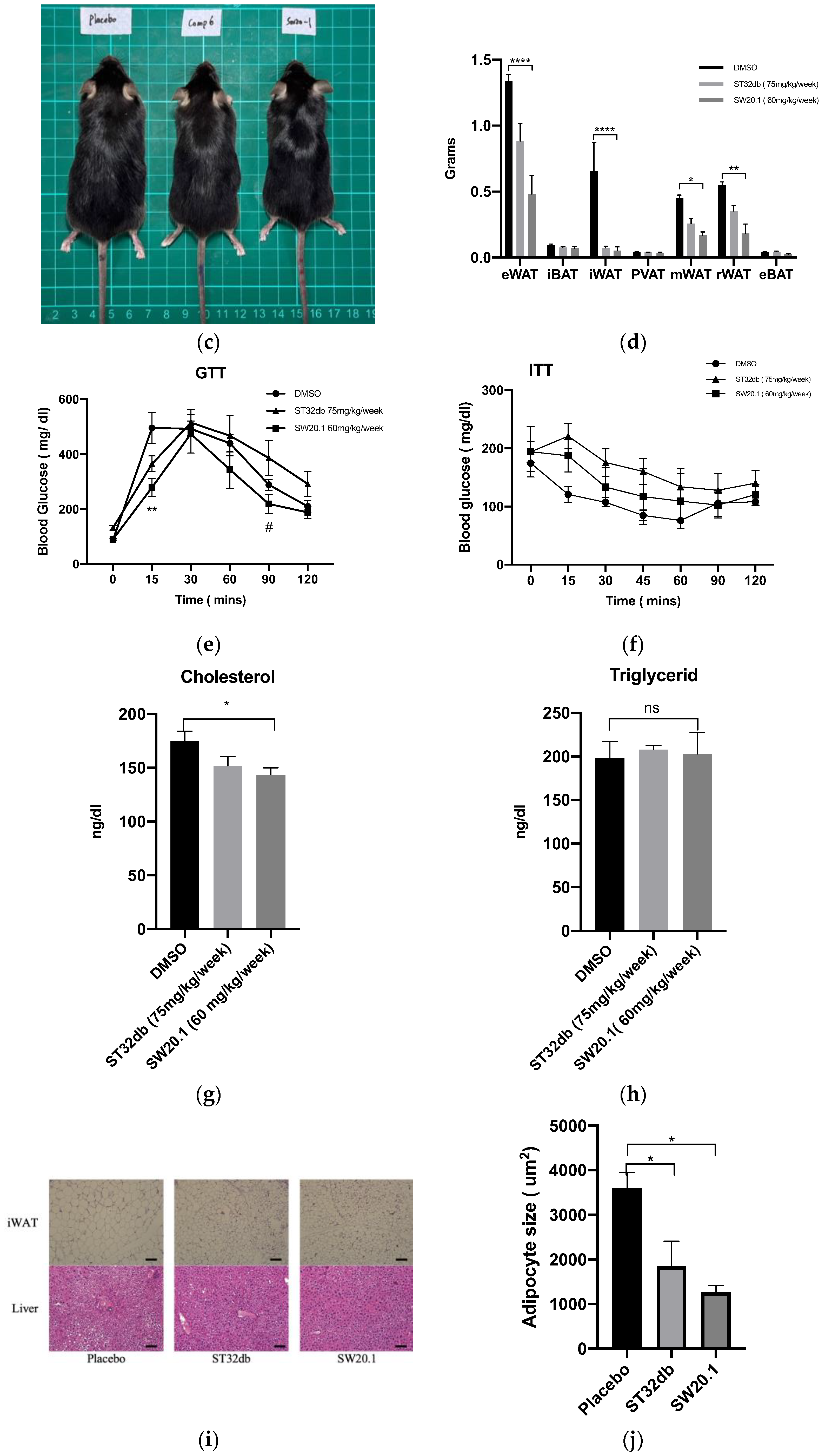 Biomedicines 11 01509 g004b Biomedicines 11 01509 g004b