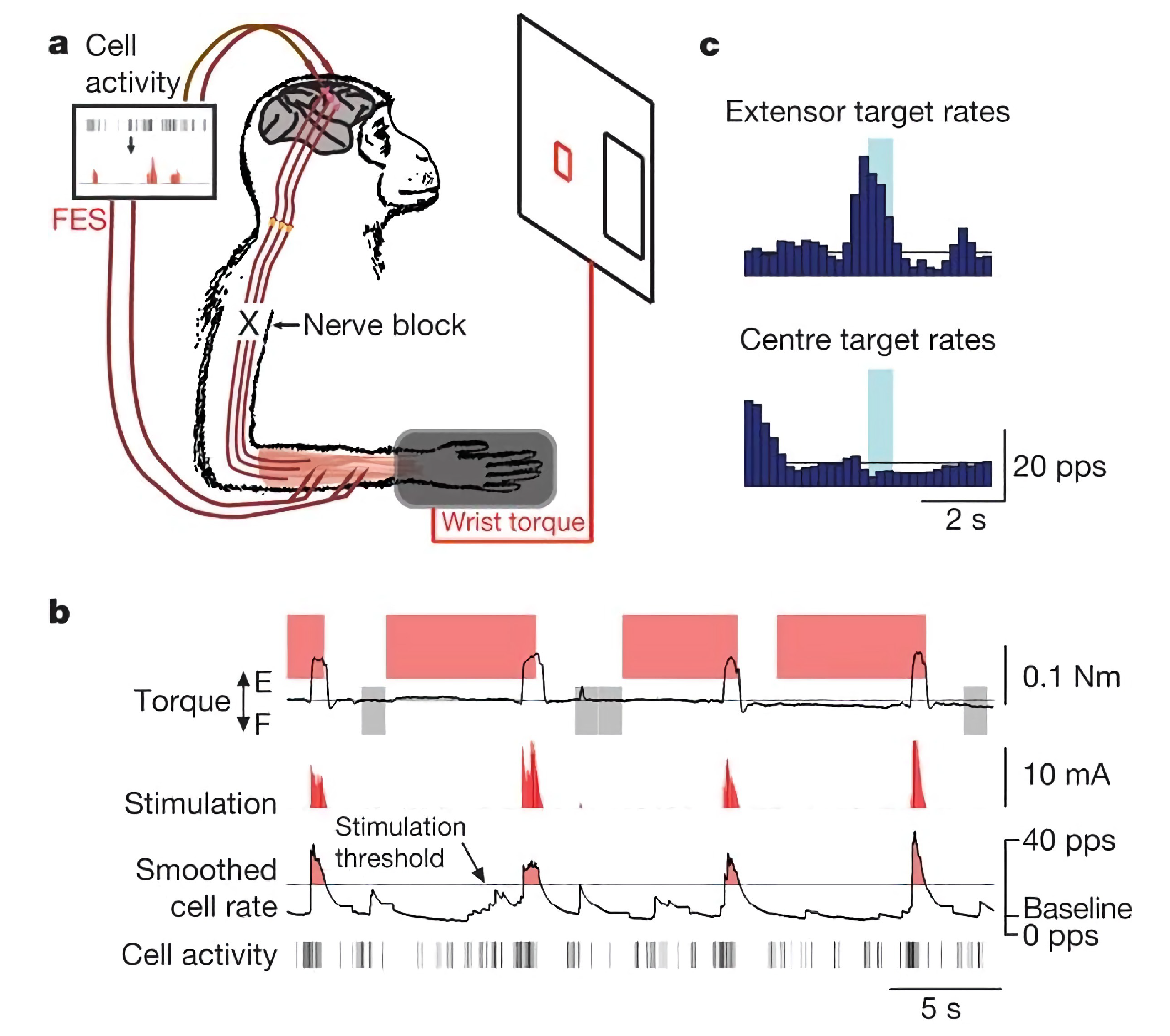 Biomedicines Free Full-Text Noninvasive Electrical Stimulation Neuromodulation and Digital Brain Technology A Review image