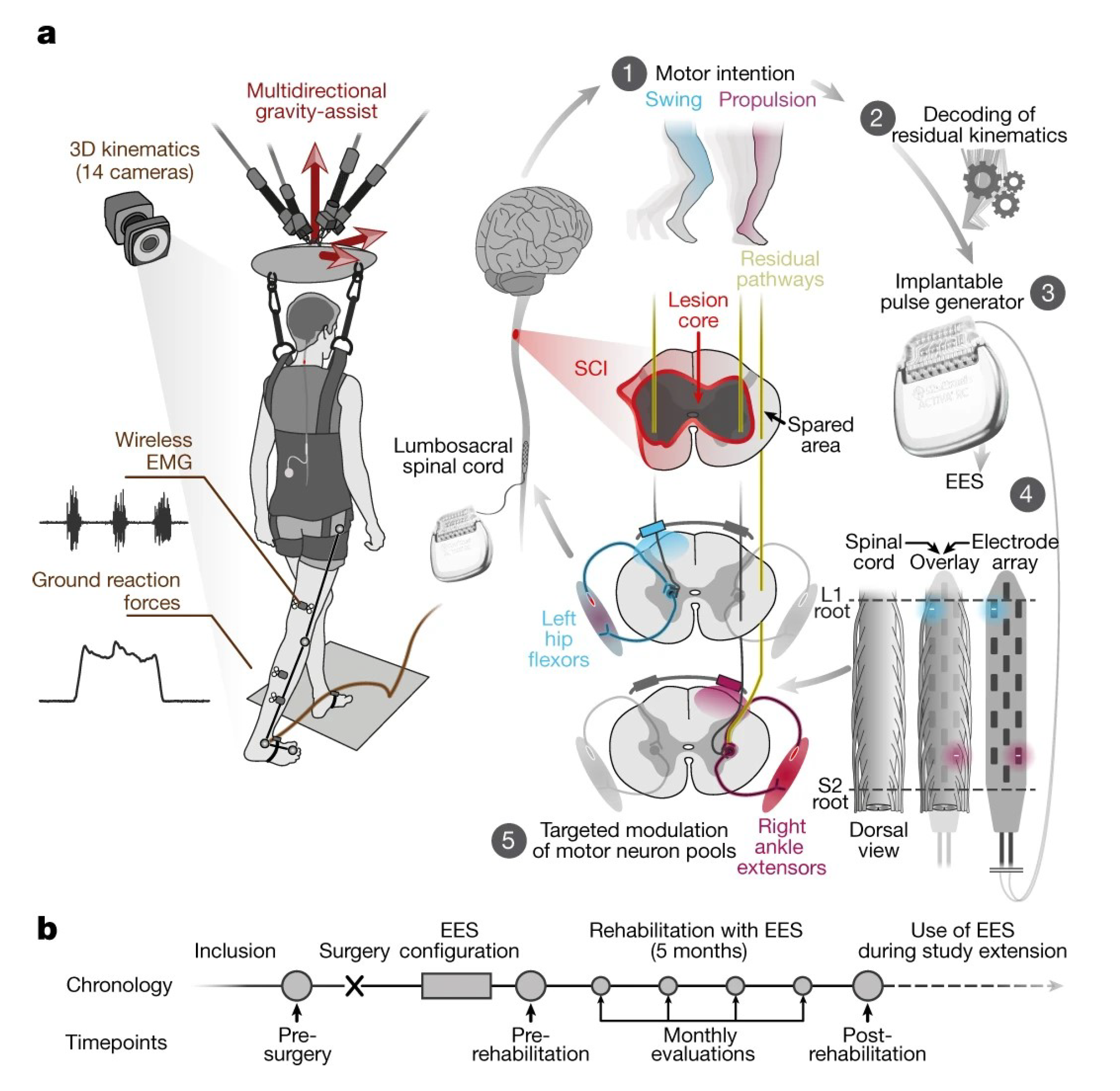 Noninvasive Electrical Stimulation Neuromodulation and