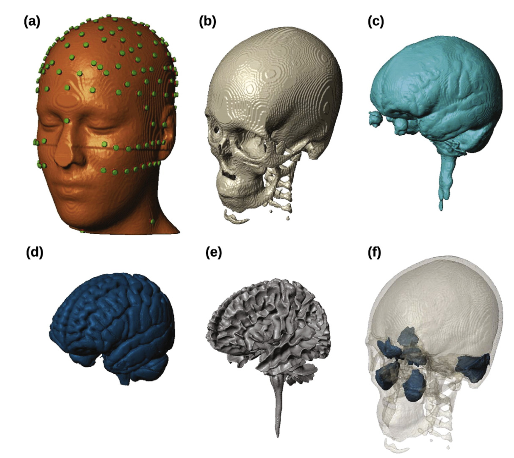 Biomedicines 11 01513 g010