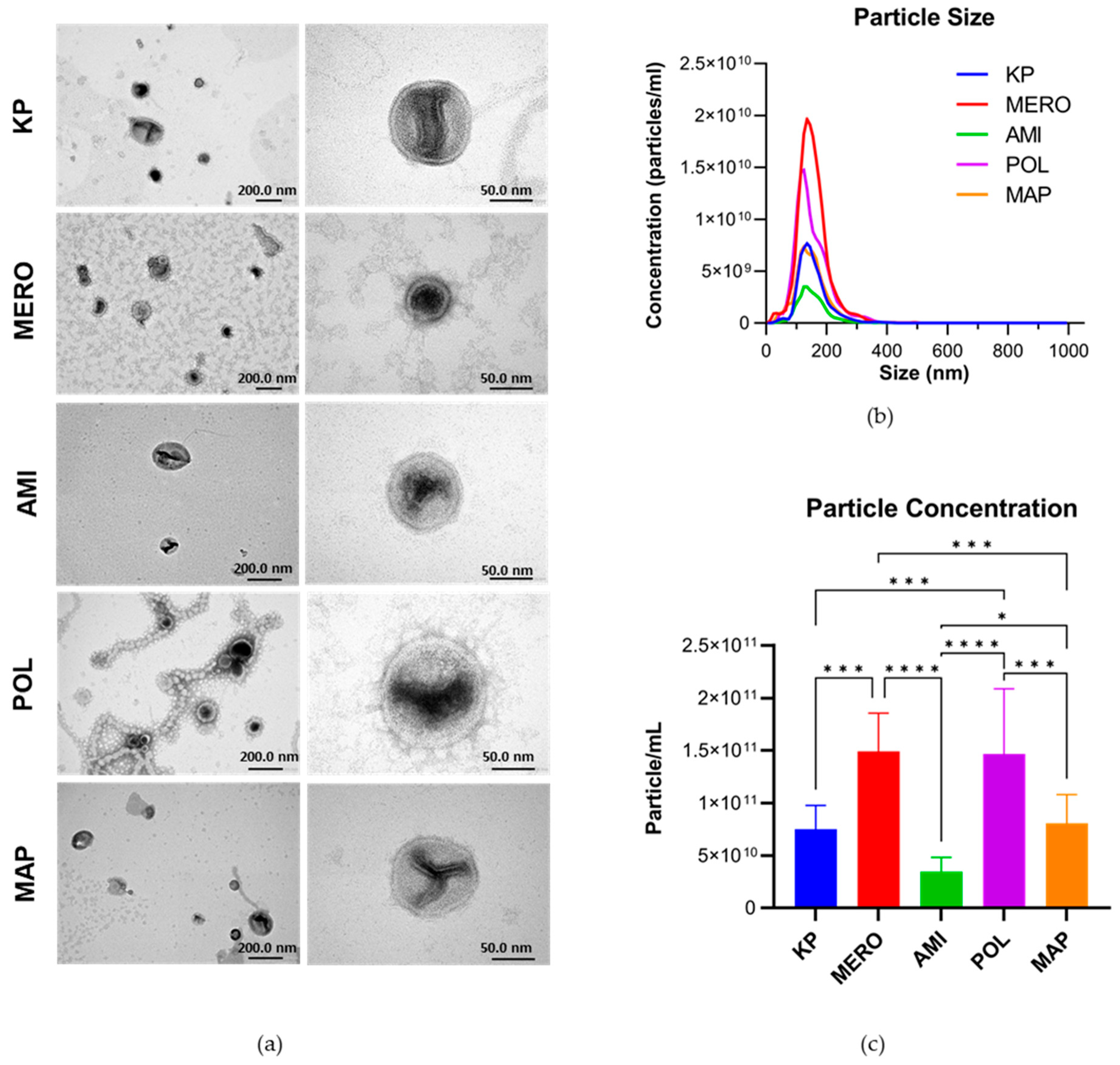 Biomedicines 11 01515 g003