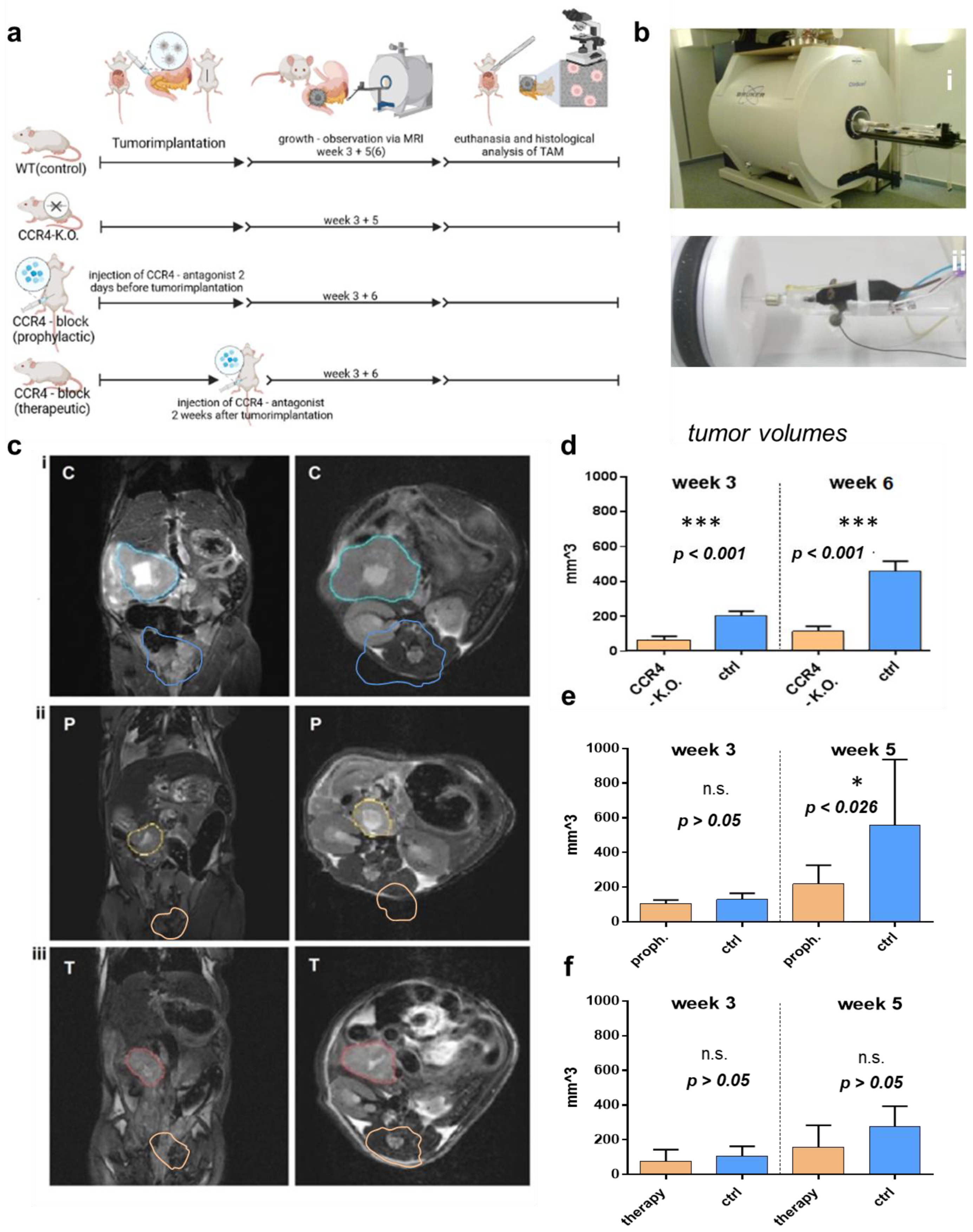 Biomedicines 11 01517 g001
