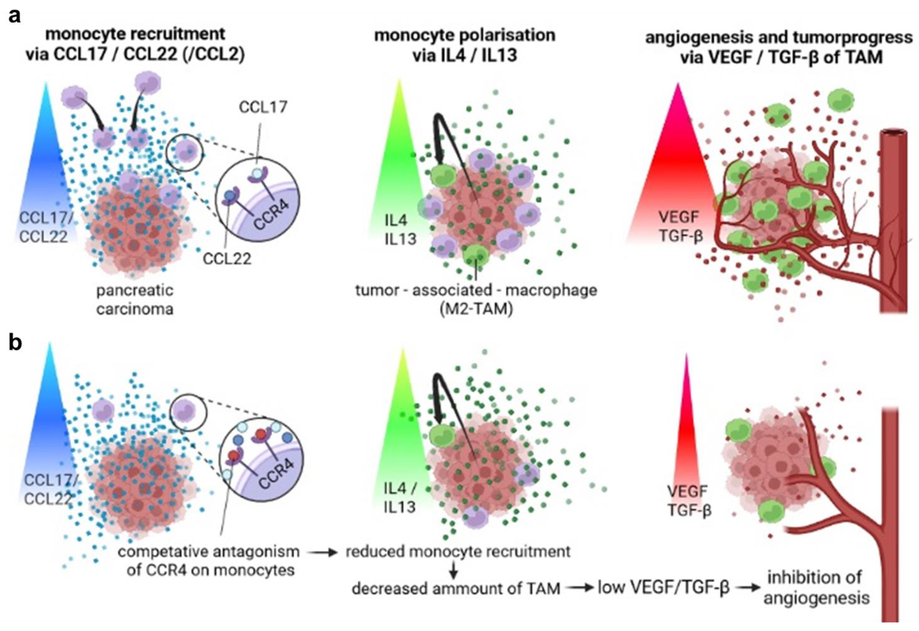 Biomedicines 11 01517 g005
