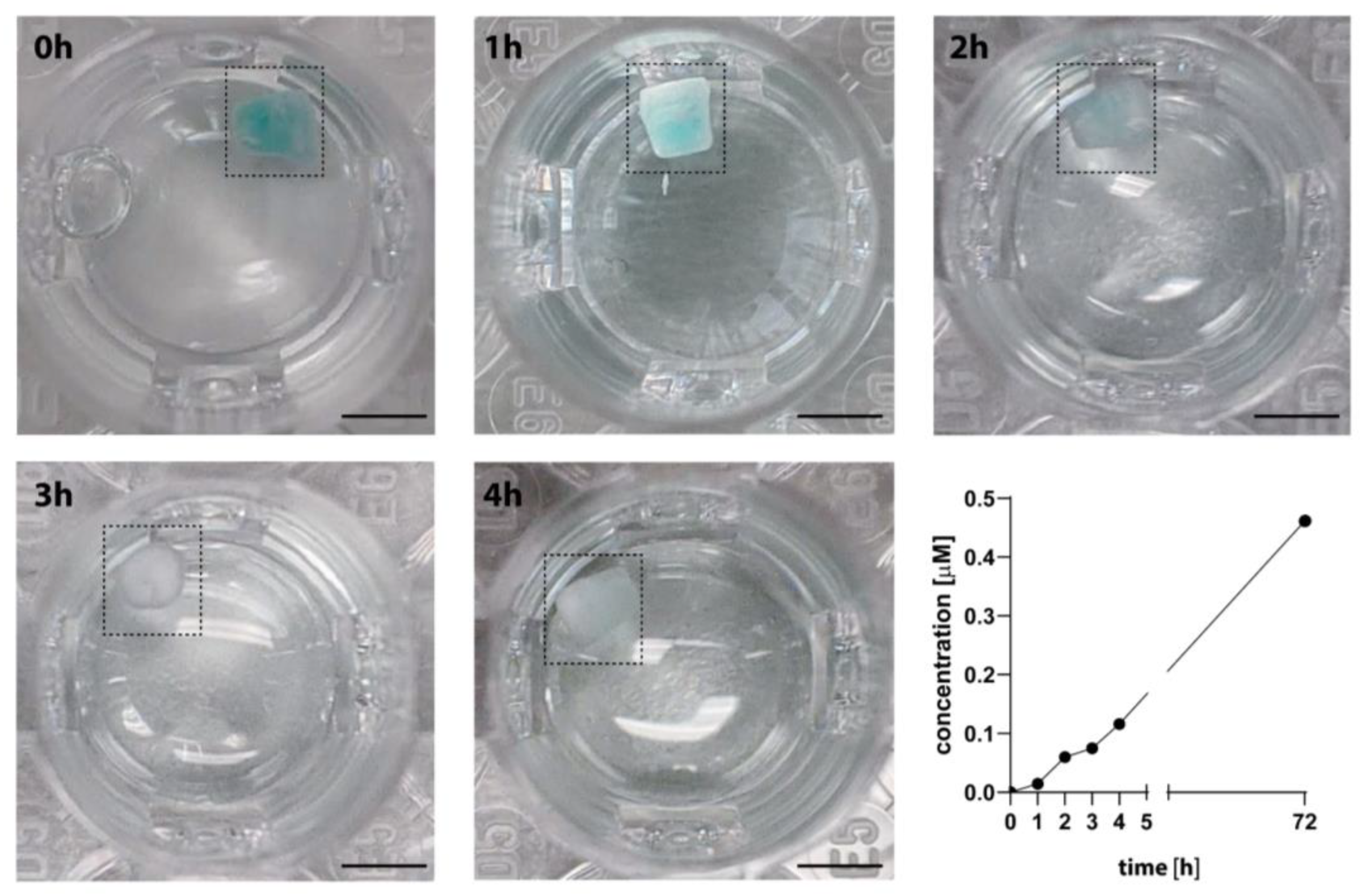 Biomedicines 11 01518 g005 Biomedicines 11 01518 g005