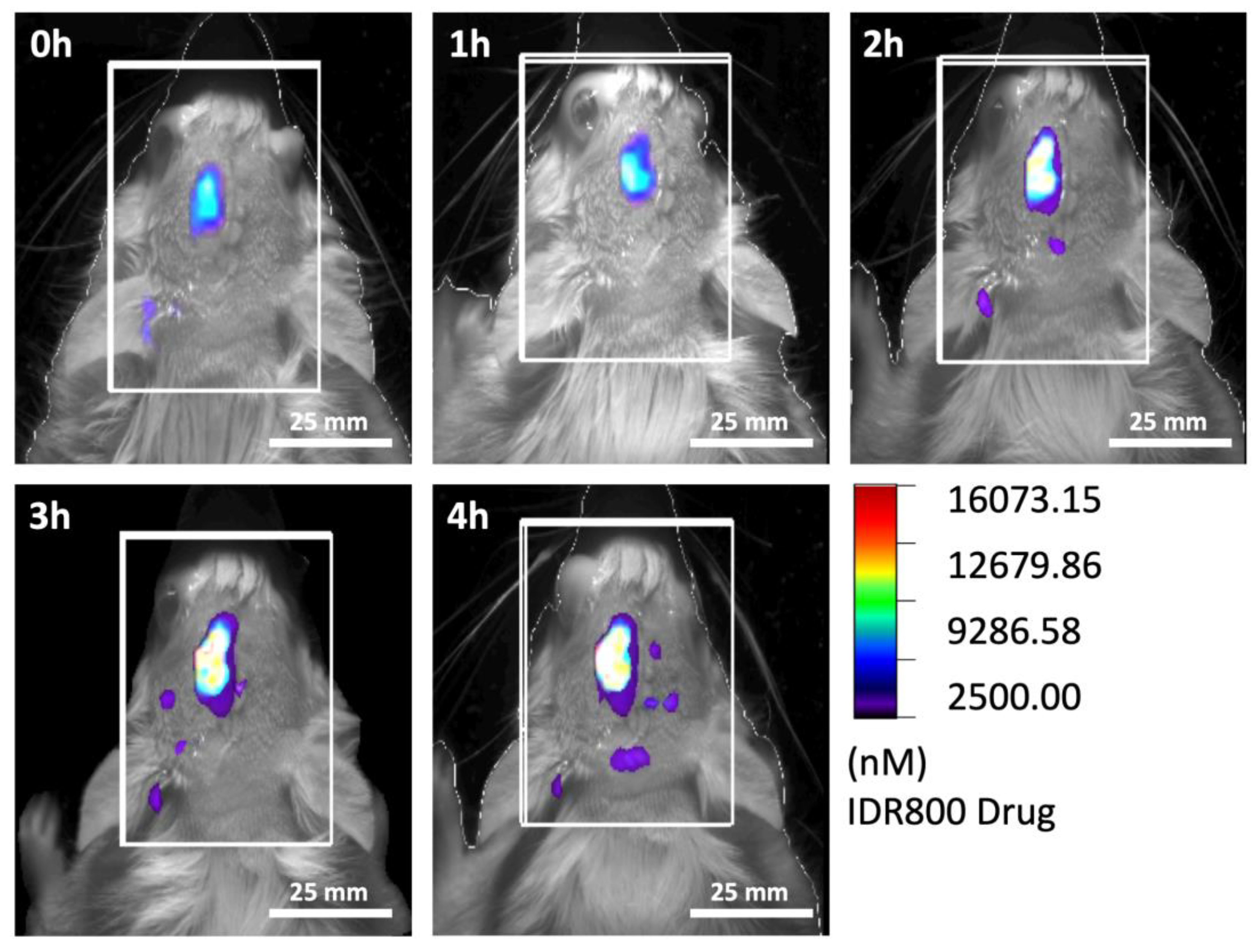 Biomedicines 11 01518 g006 Biomedicines 11 01518 g006