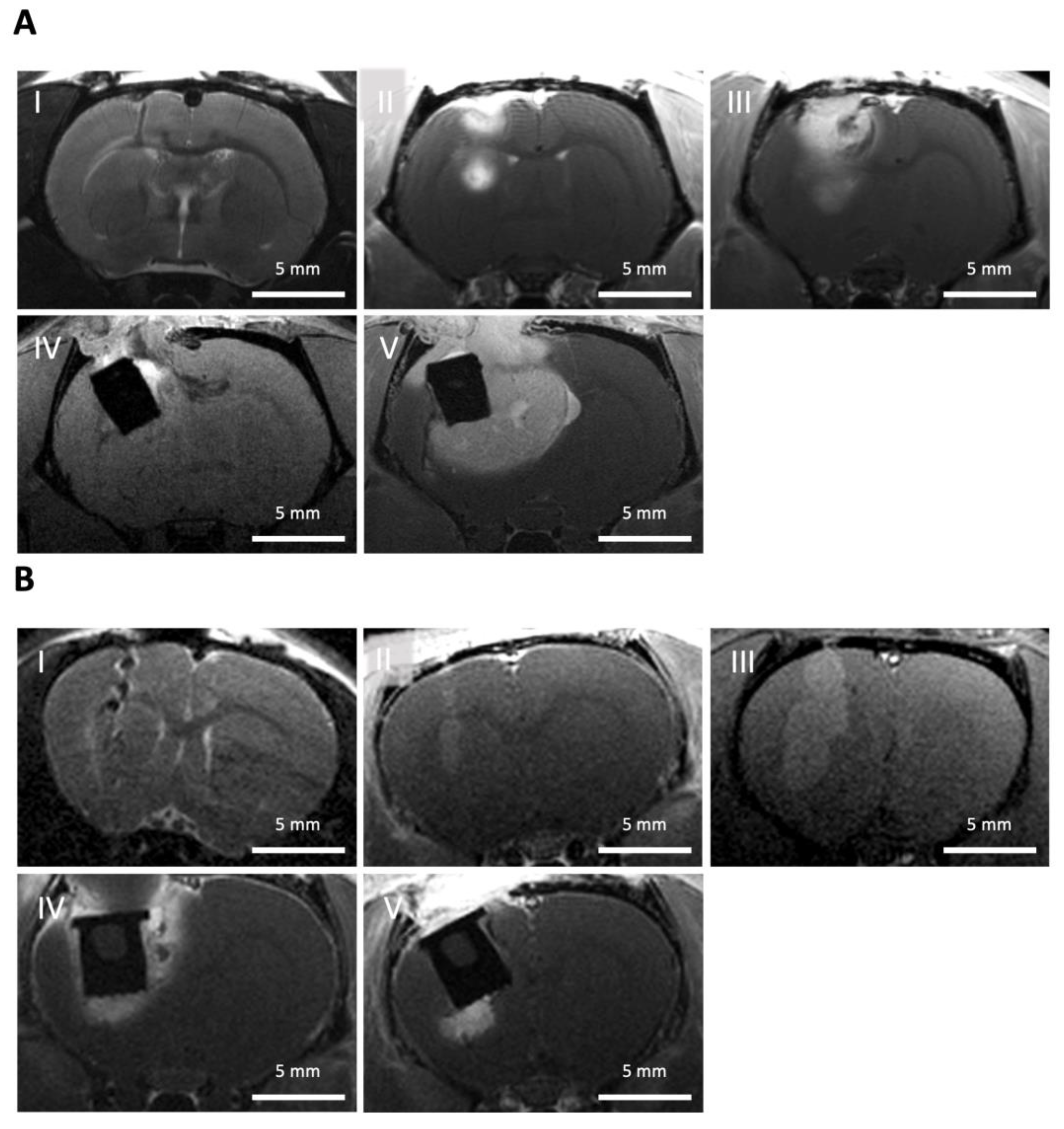 Biomedicines 11 01518 g007 Biomedicines 11 01518 g007