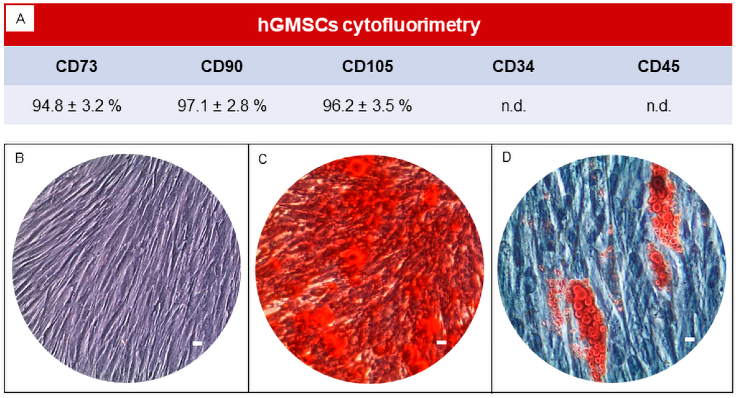 Biomedicines 11 01519 g001