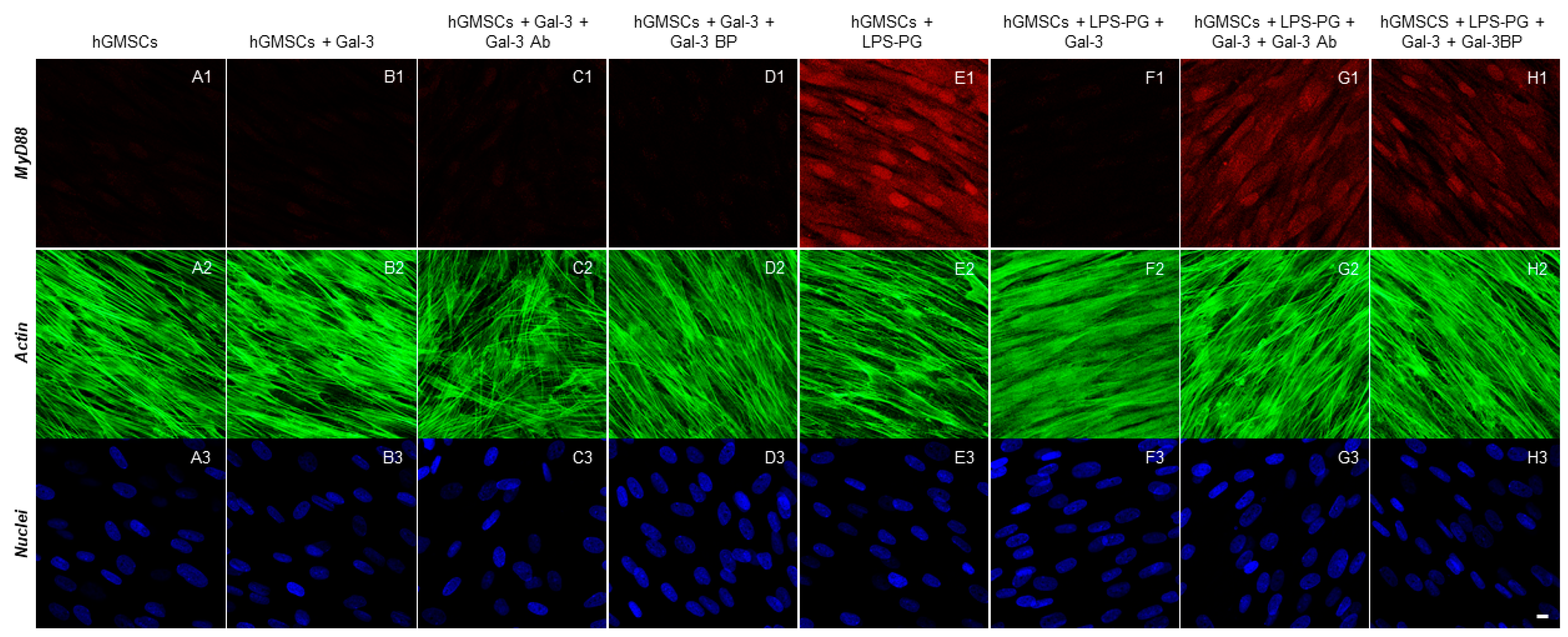 Biomedicines 11 01519 g004