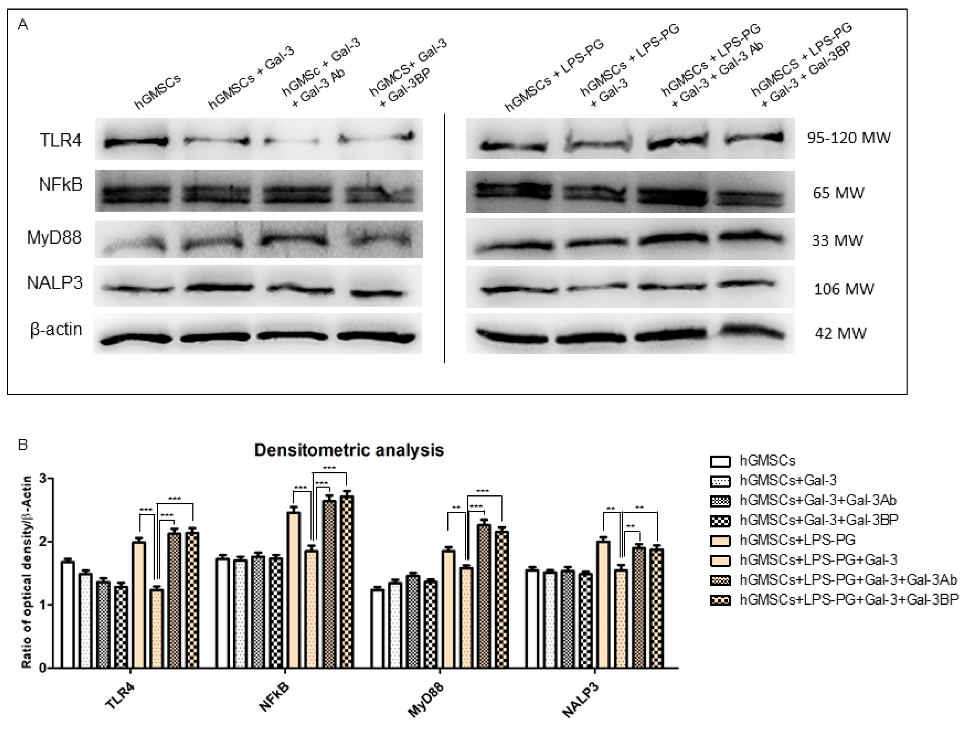 Biomedicines 11 01519 g006