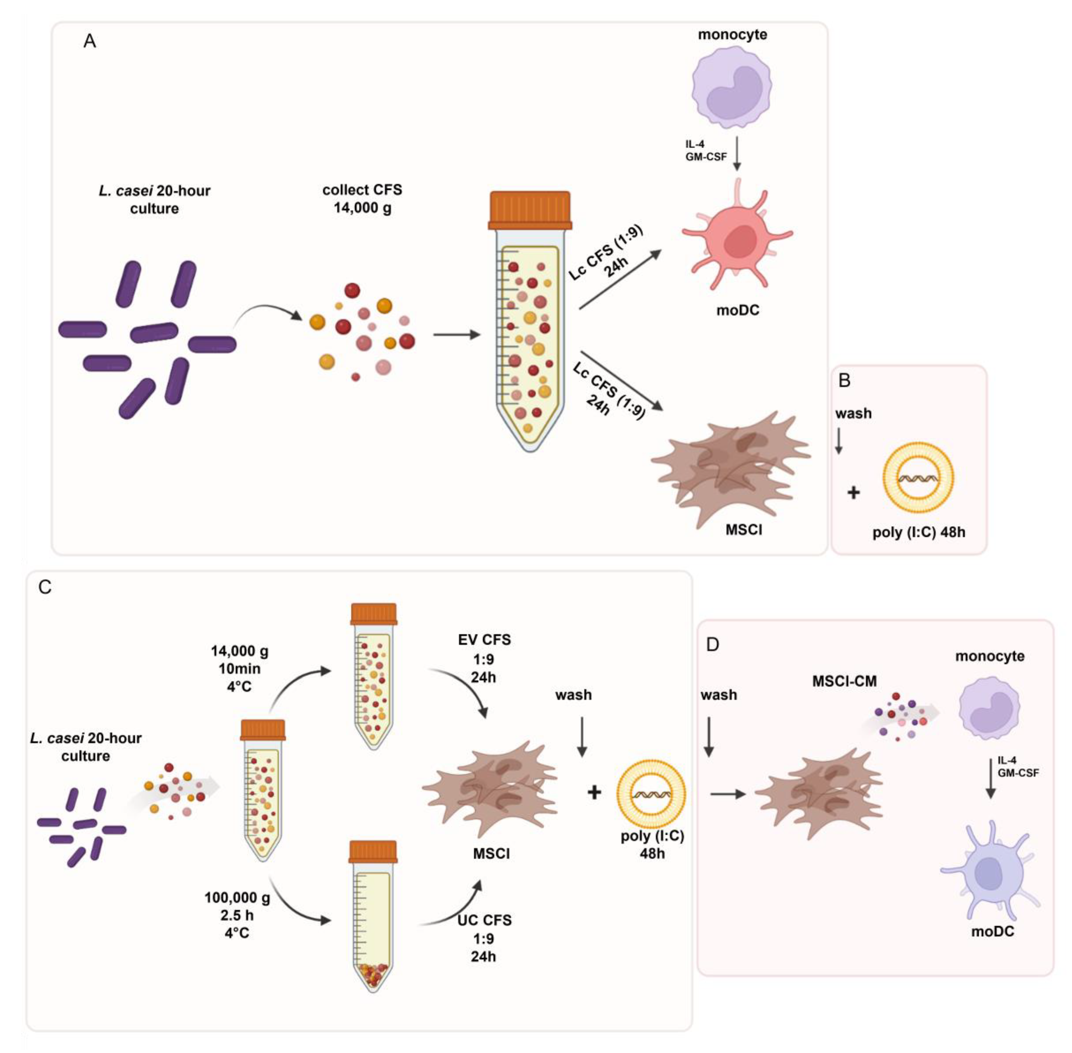 Biomedicines 11 01521 g001 Biomedicines 11 01521 g001