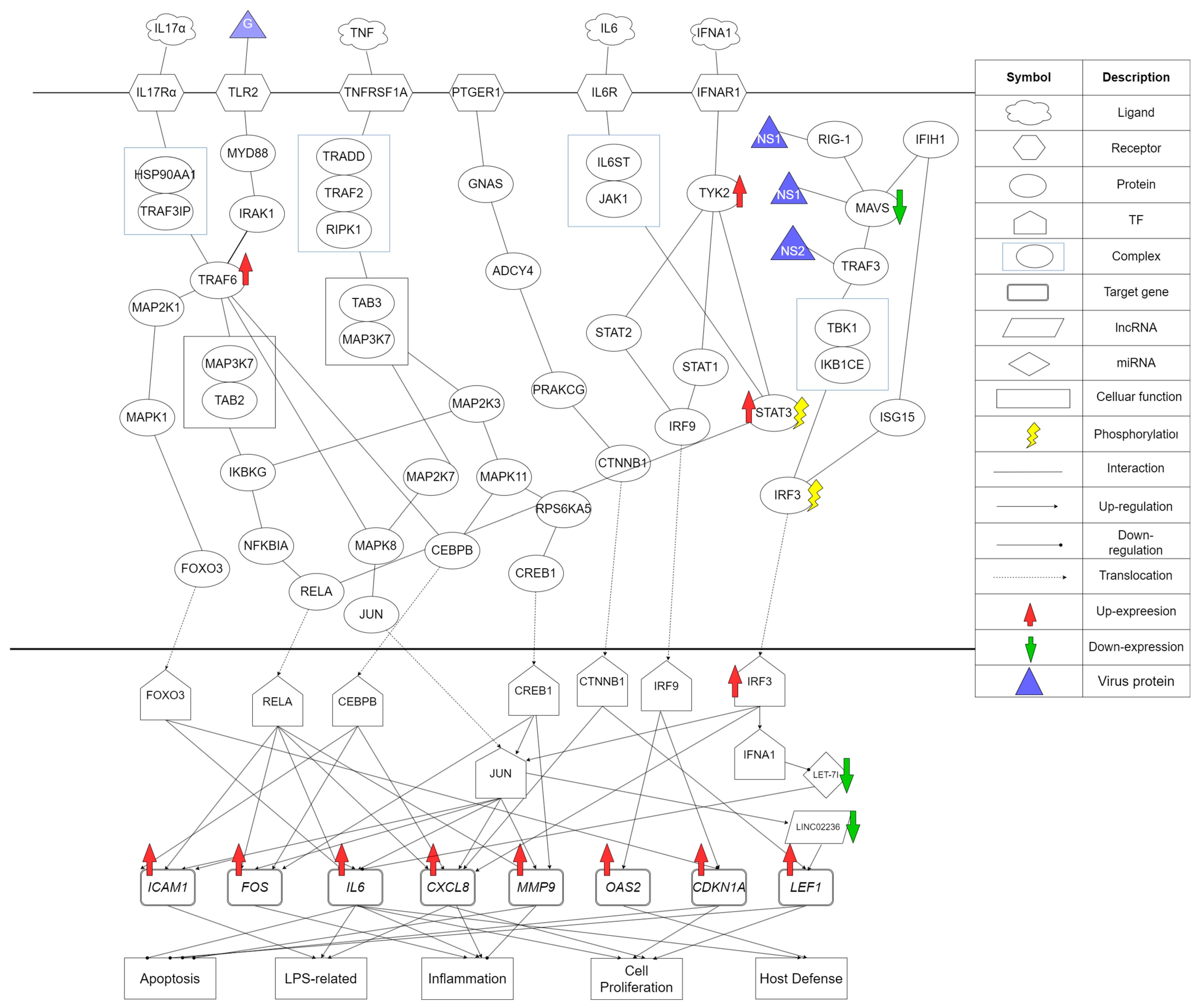Biomedicines 11 01531 g004