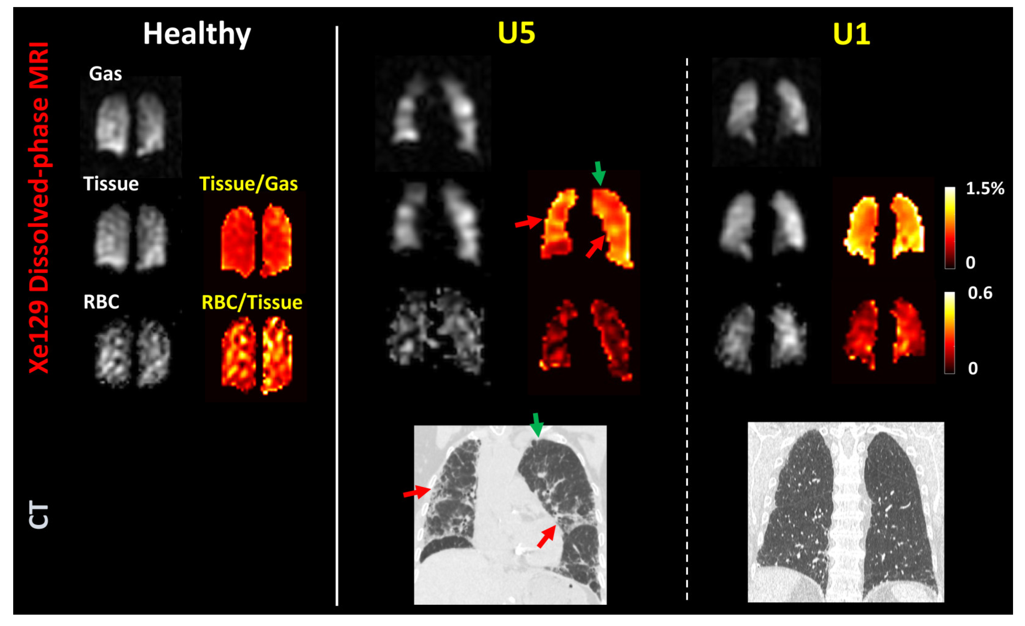 Biomedicines 11 01533 g003 Biomedicines 11 01533 g003