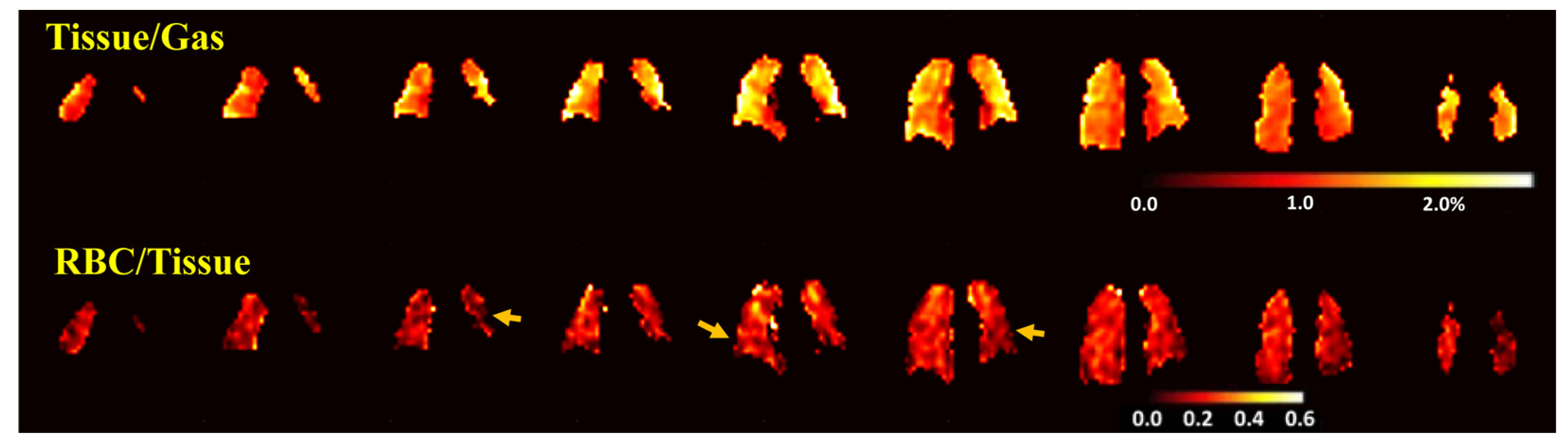 Biomedicines 11 01533 g004 Biomedicines 11 01533 g004