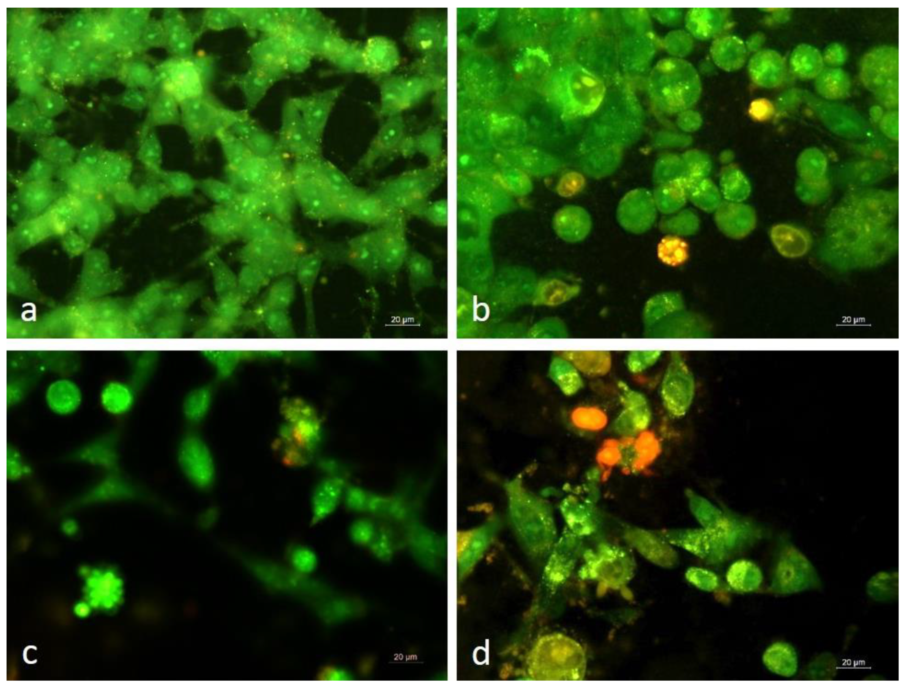 Biomedicines 11 01545 g002 Biomedicines 11 01545 g002