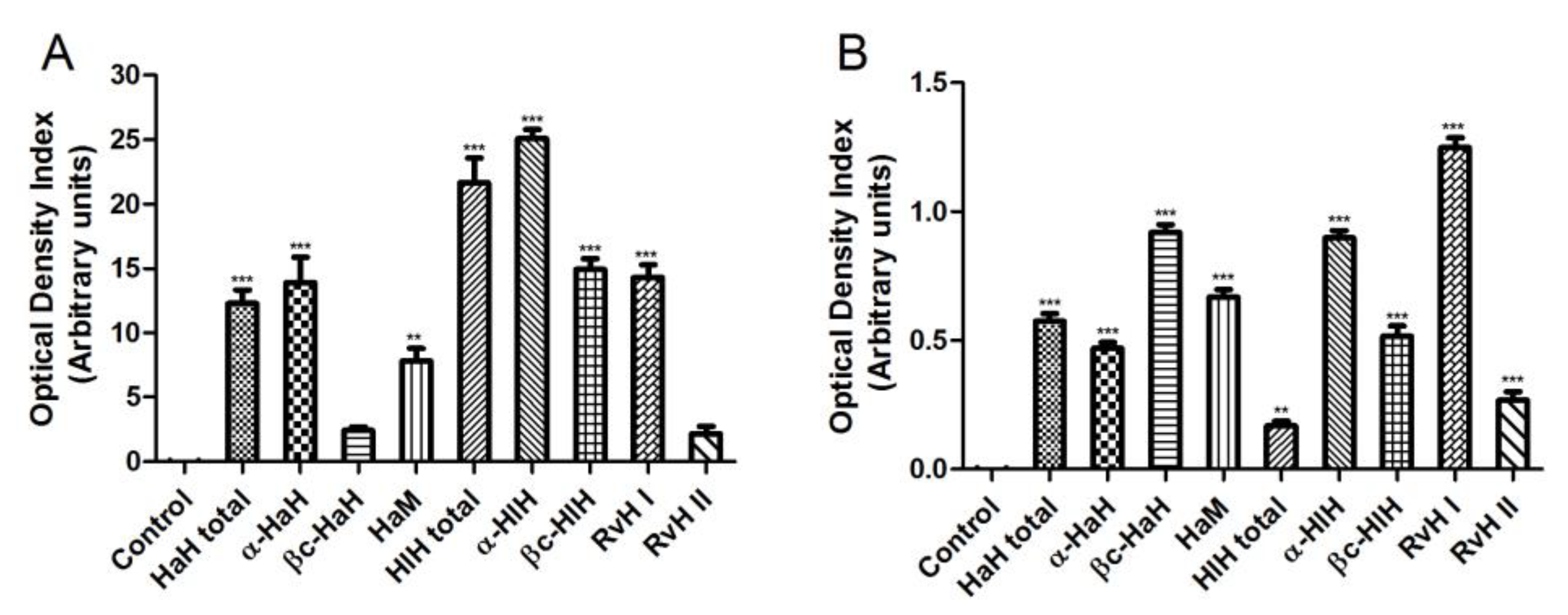 Biomedicines 11 01545 g006 Biomedicines 11 01545 g006