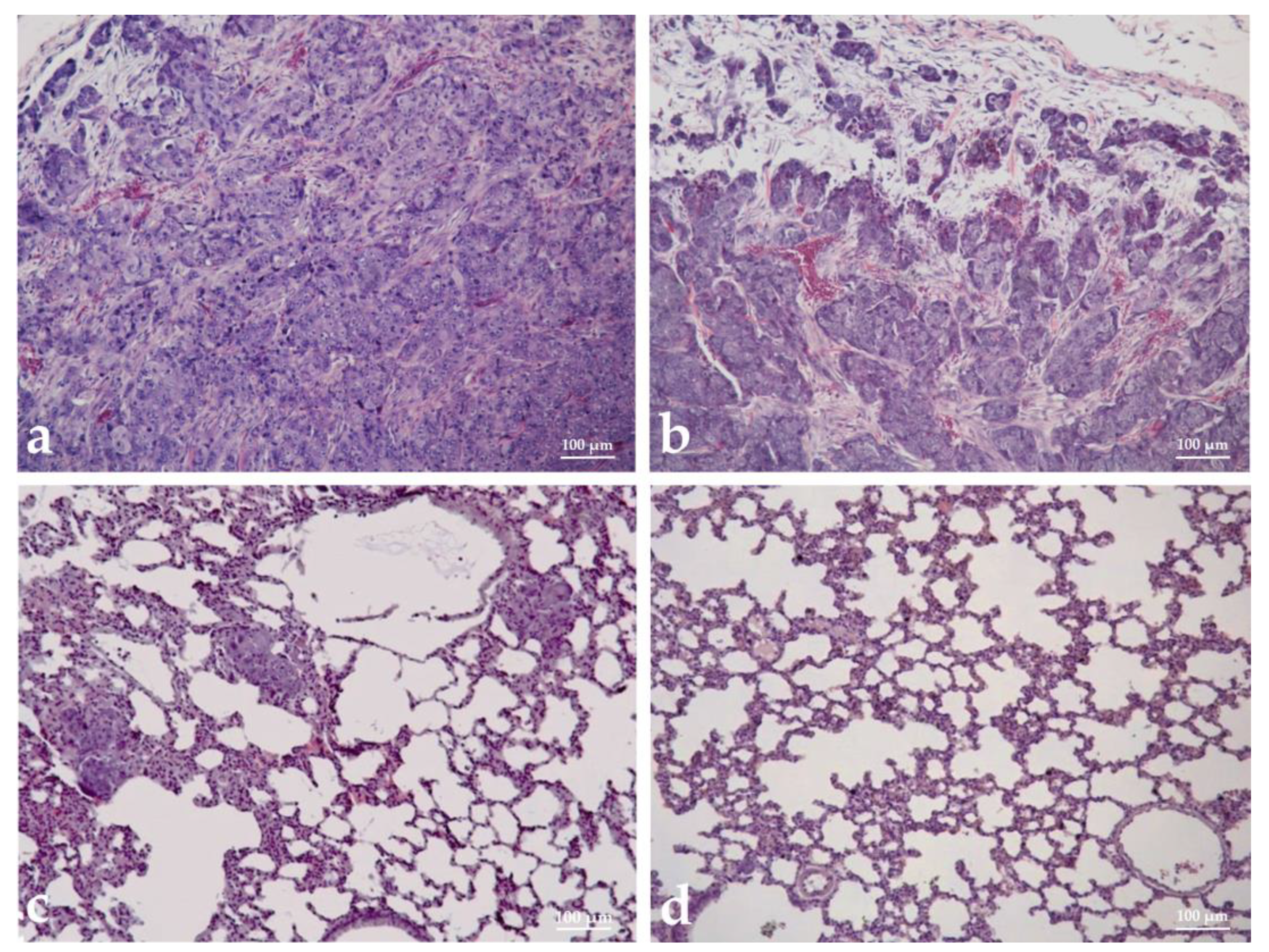 Biomedicines 11 01545 g008 Biomedicines 11 01545 g008