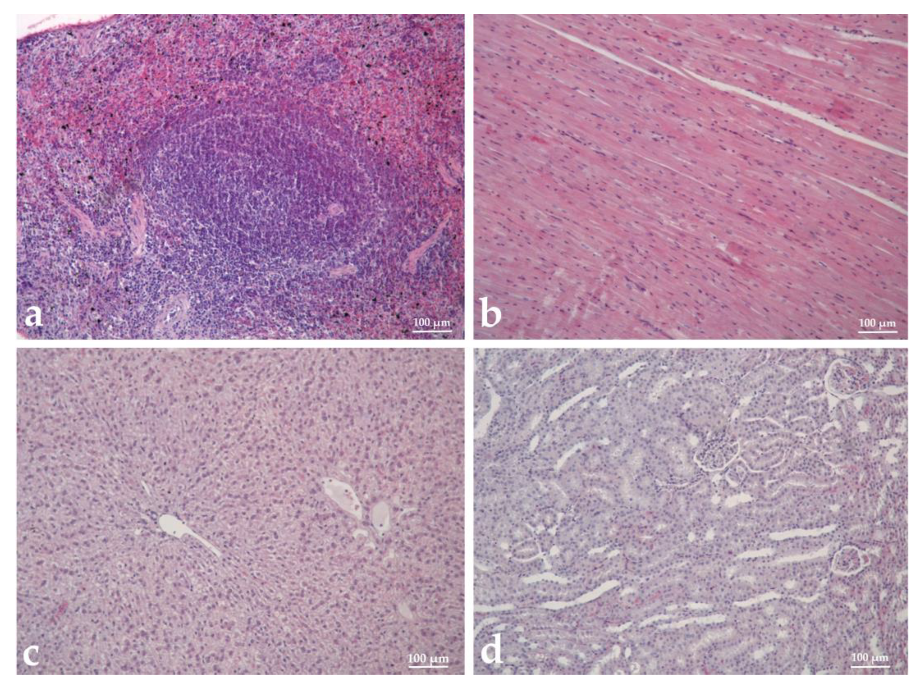 Biomedicines 11 01545 g009 Biomedicines 11 01545 g009