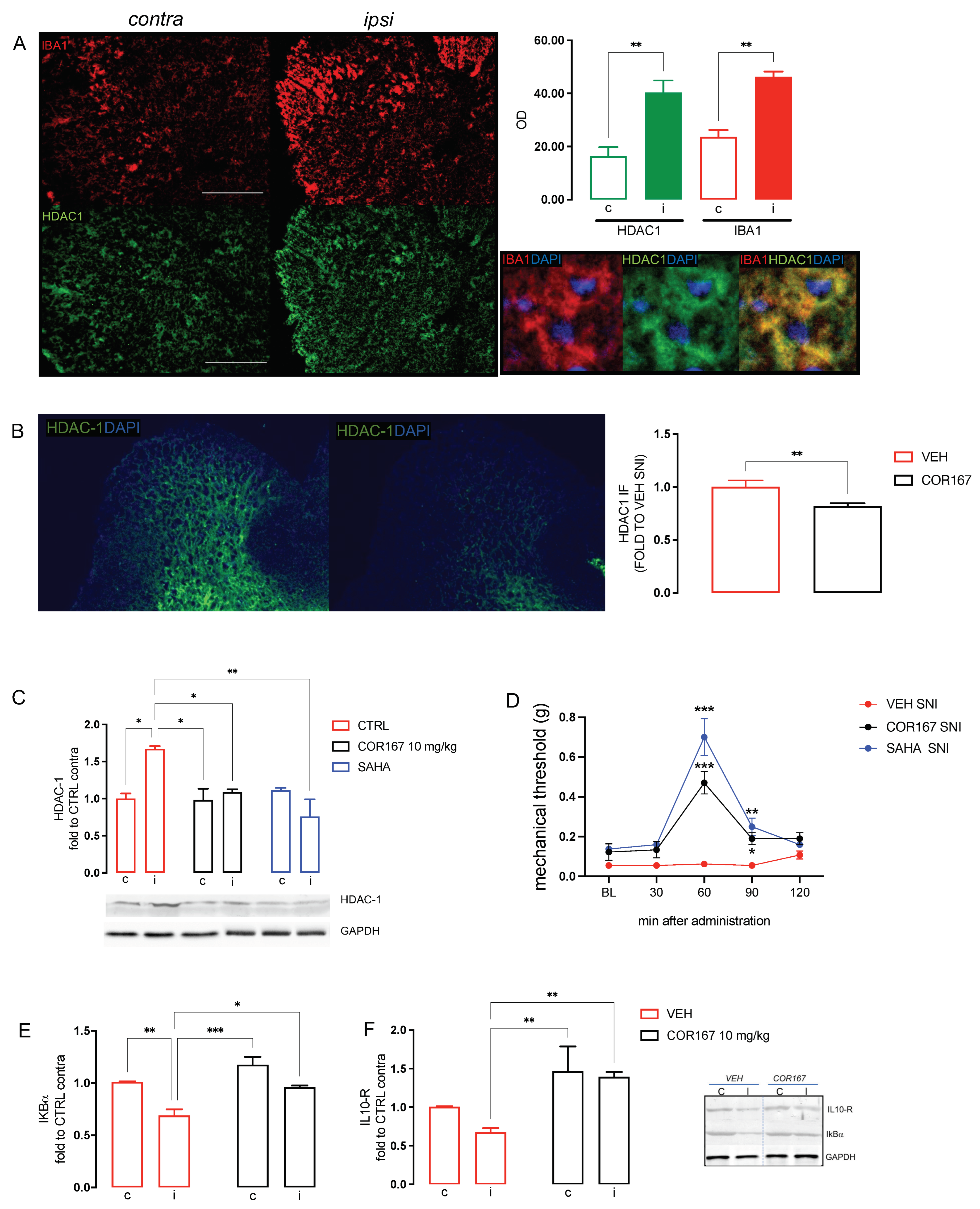 Biomedicines 11 01546 g004 Biomedicines 11 01546 g004