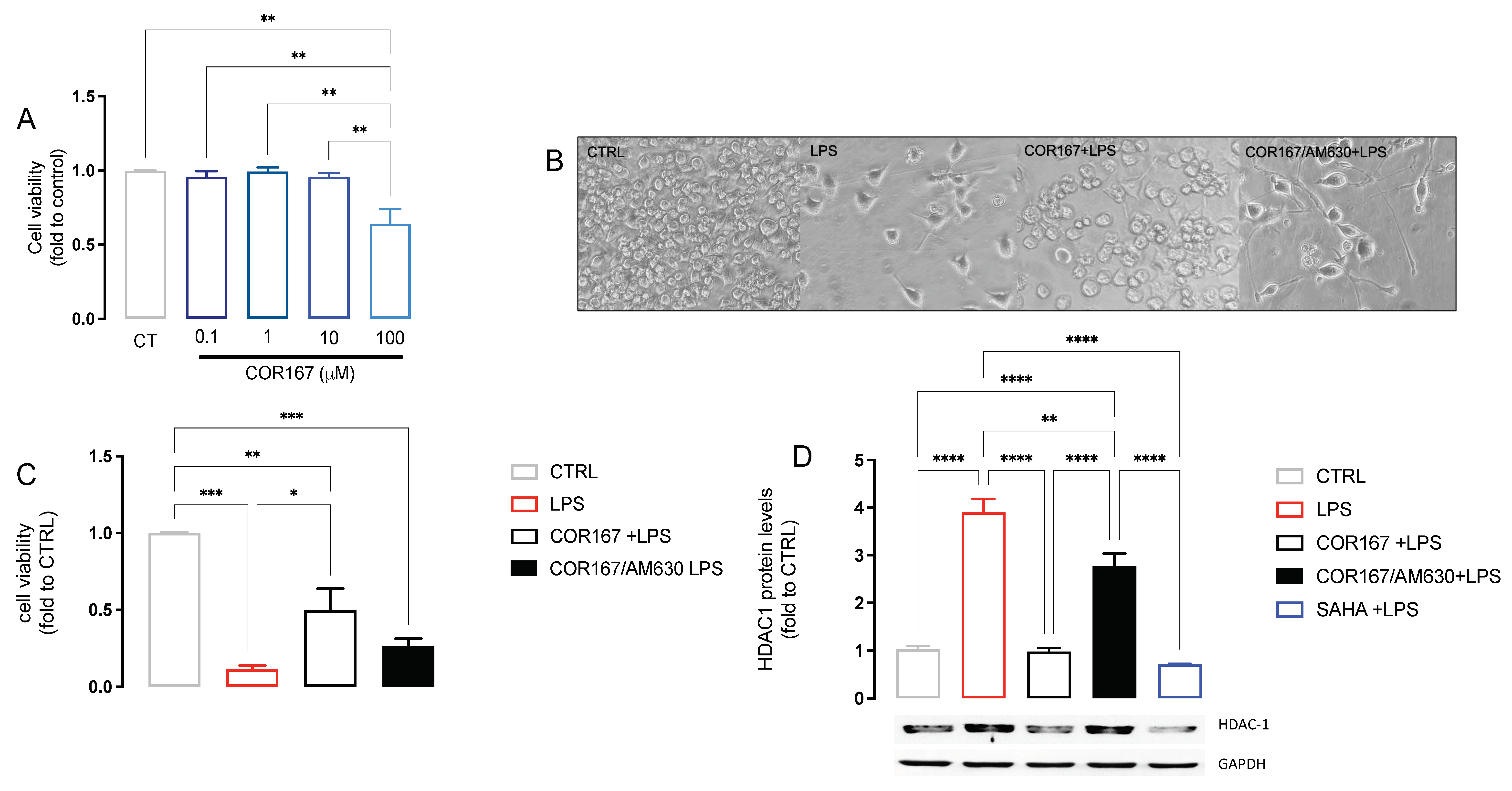 Biomedicines 11 01546 g005 Biomedicines 11 01546 g005