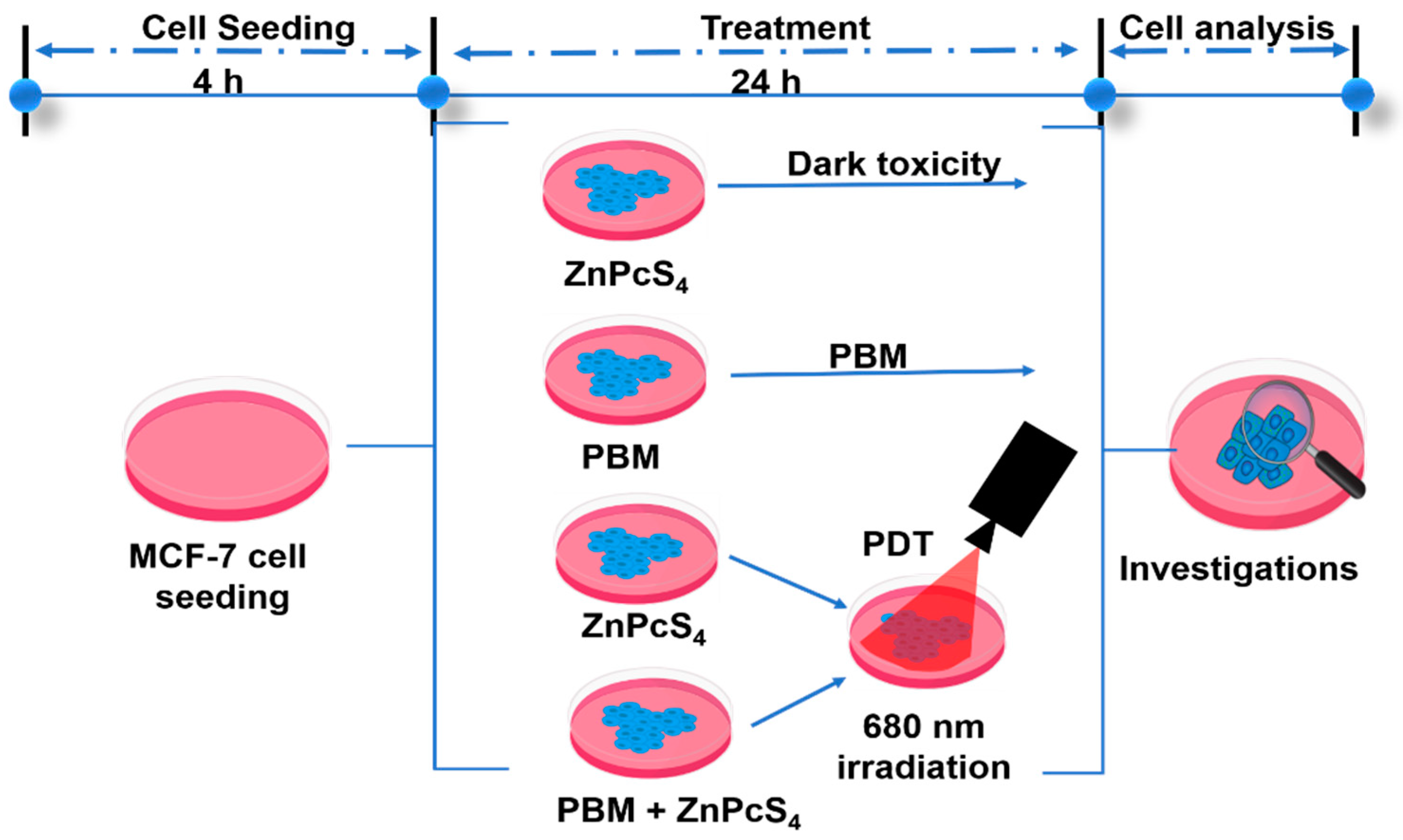 Biomedicines 11 01547 g001