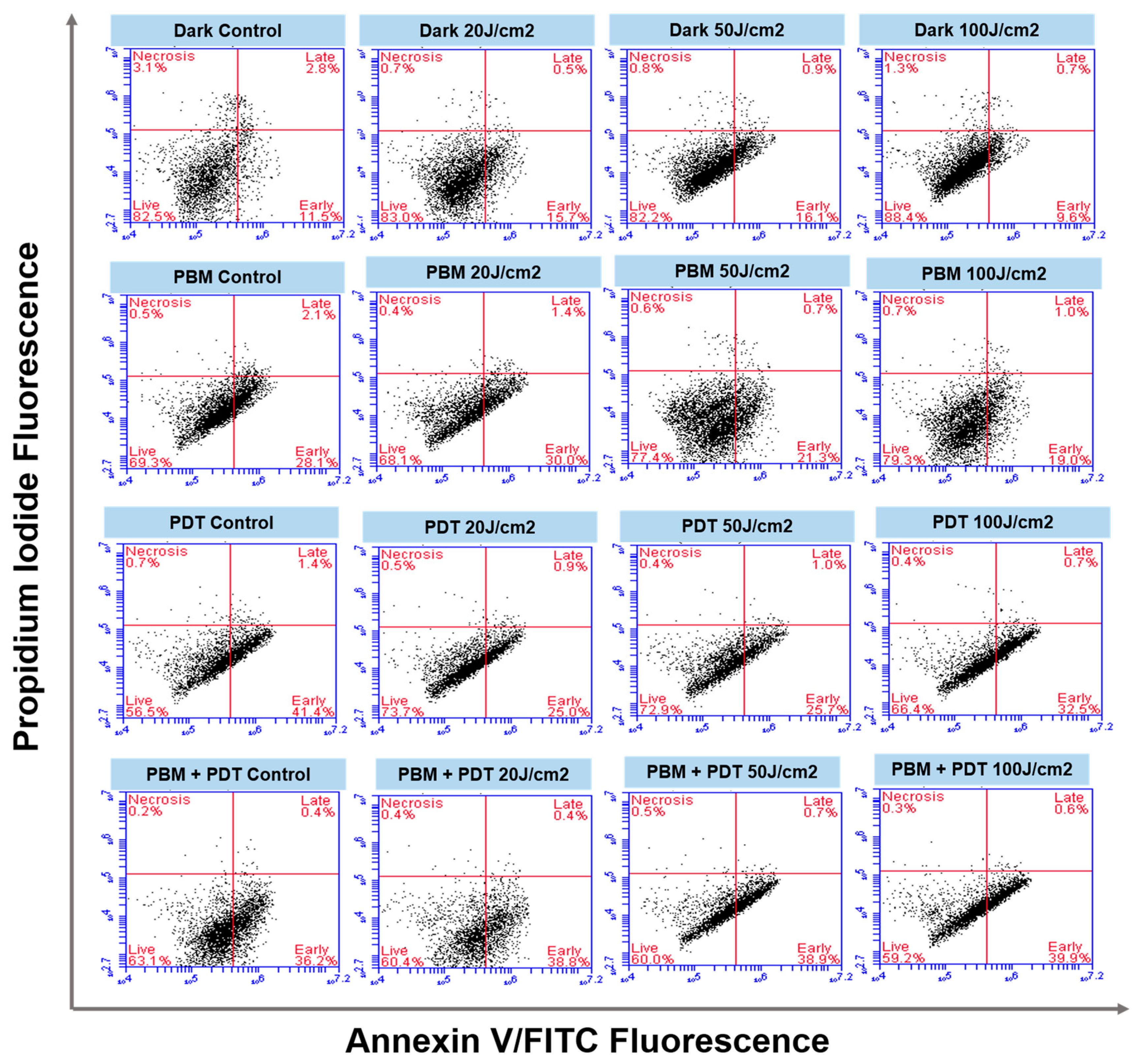 Biomedicines 11 01547 g005