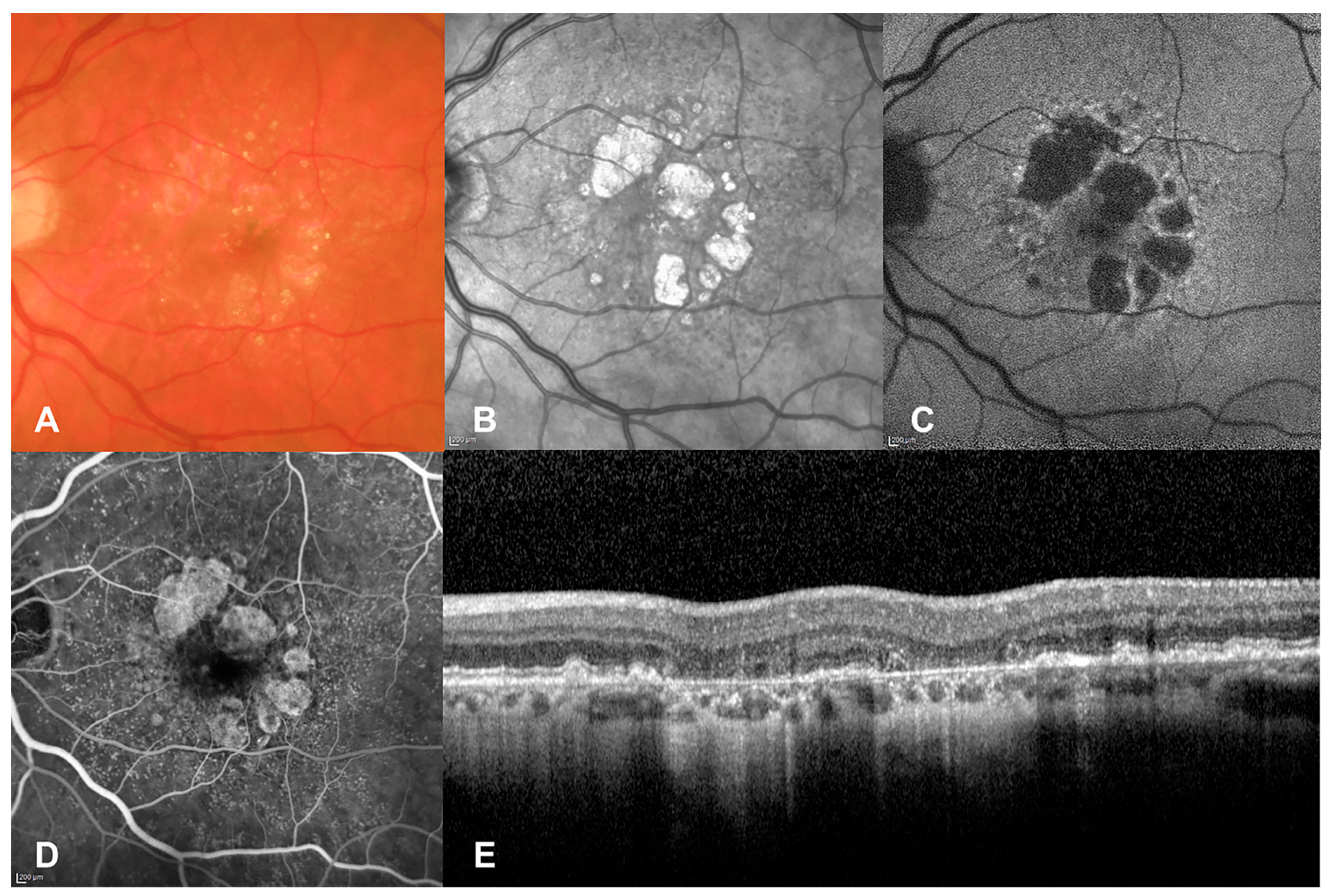 Biomedicines 11 01548 g001
