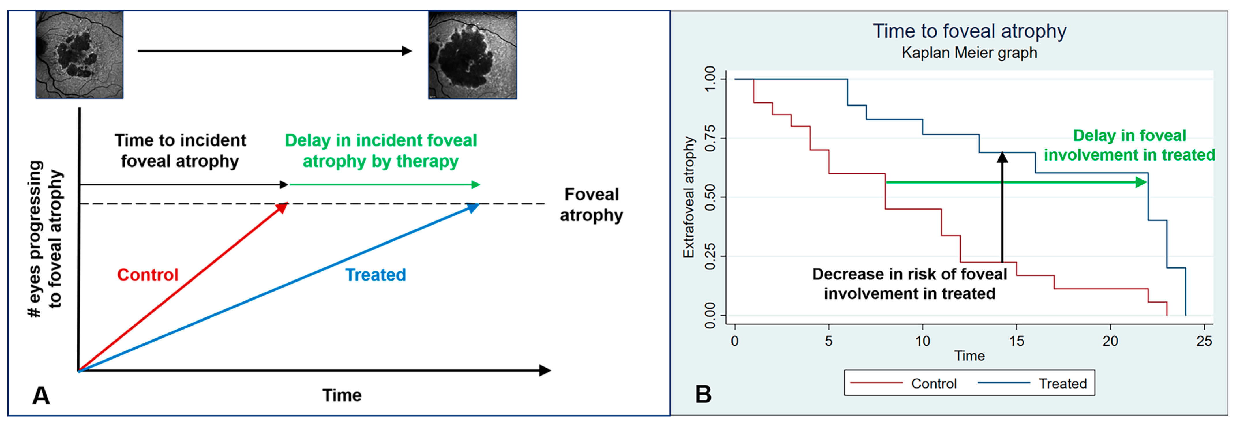Biomedicines 11 01548 g002