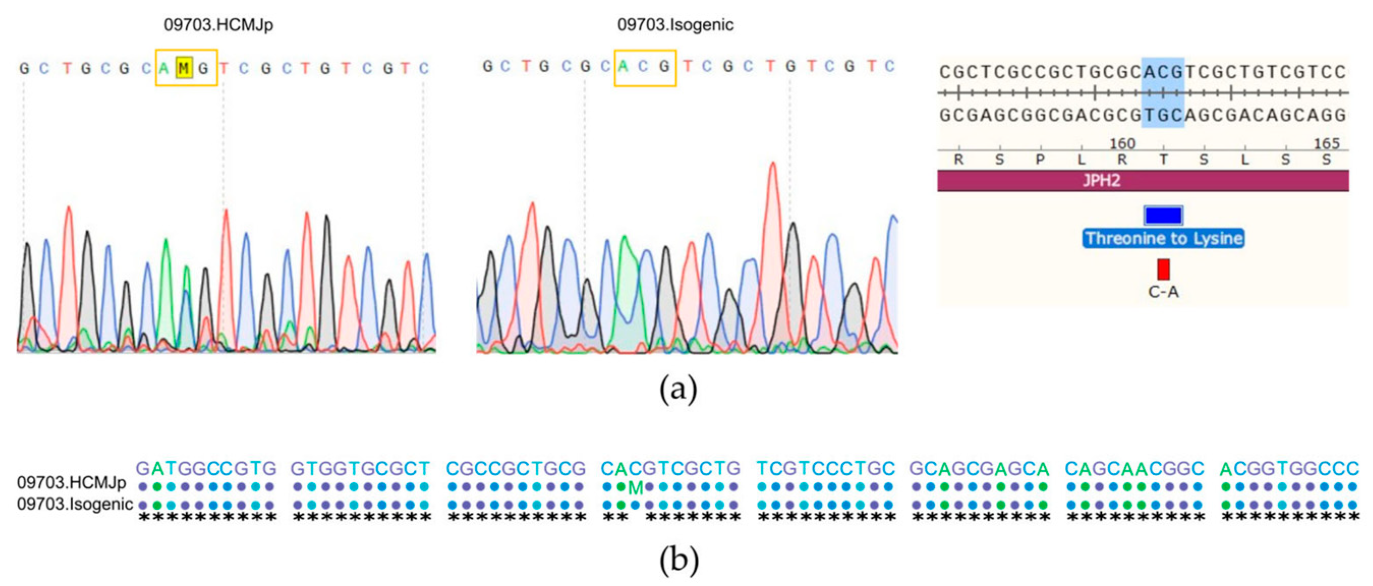 Biomedicines 11 01558 g003 Biomedicines 11 01558 g003
