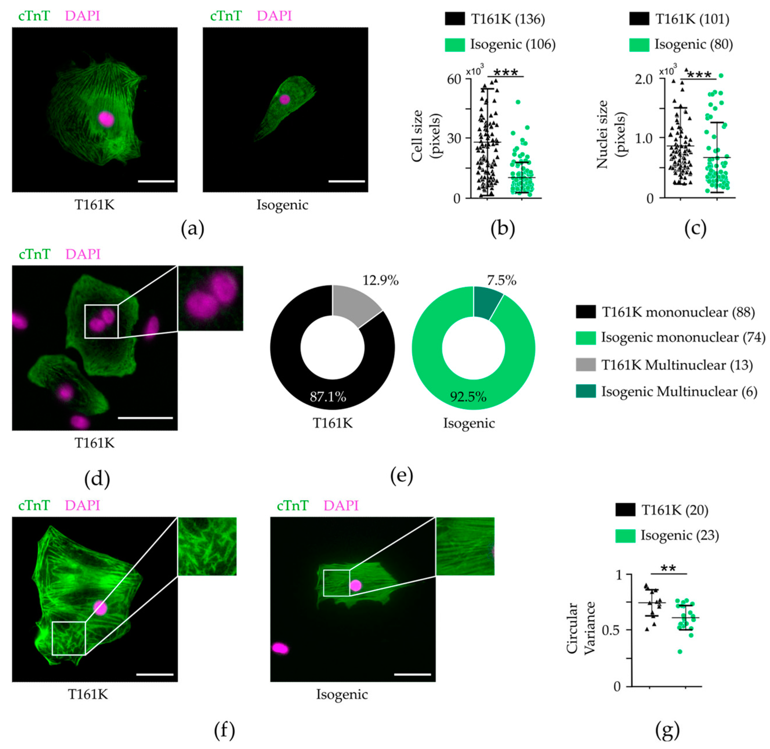 Biomedicines 11 01558 g004 Biomedicines 11 01558 g004